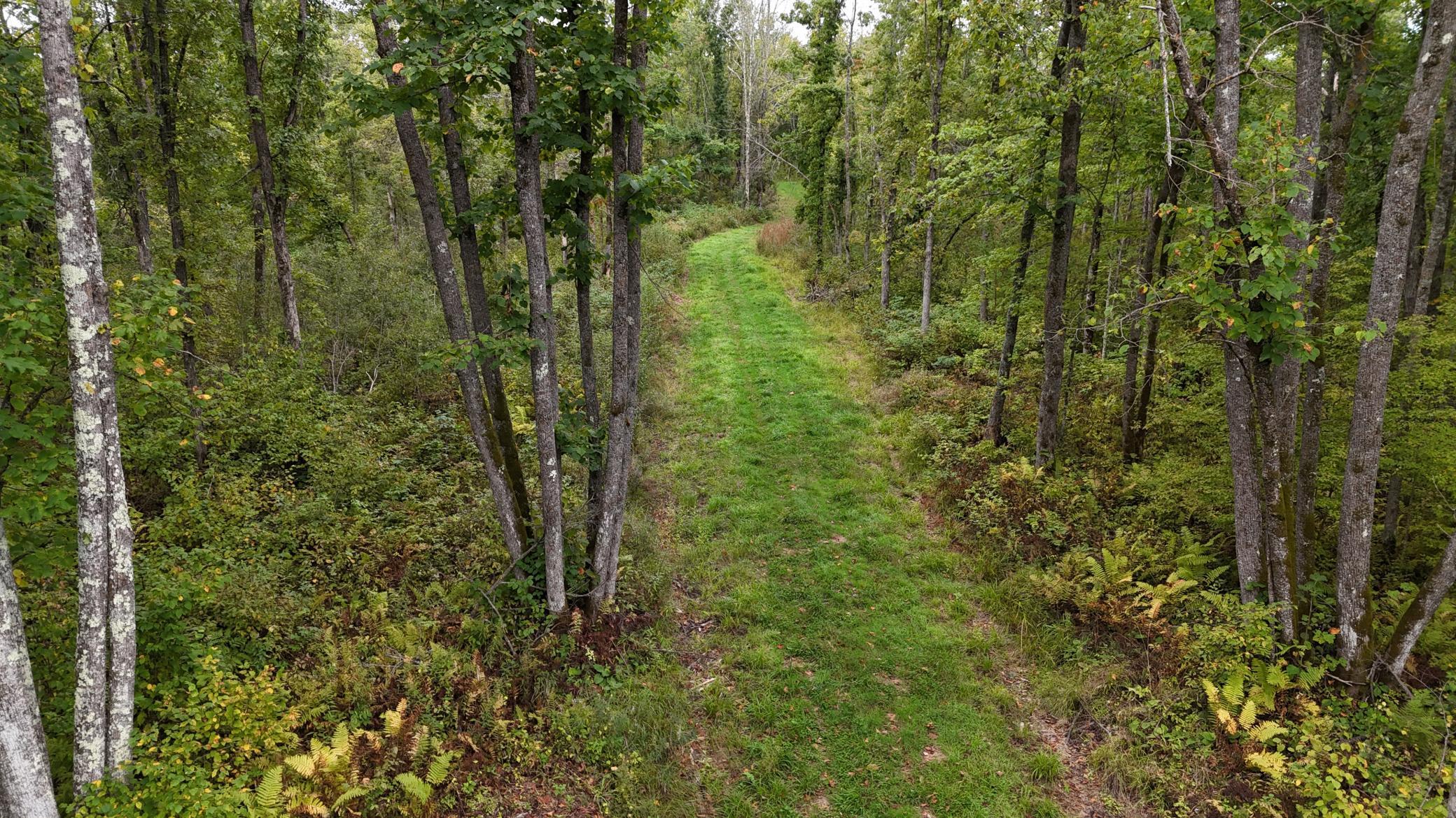 TBD Rainbow Trout Trail, Sandstone, Minnesota image 4