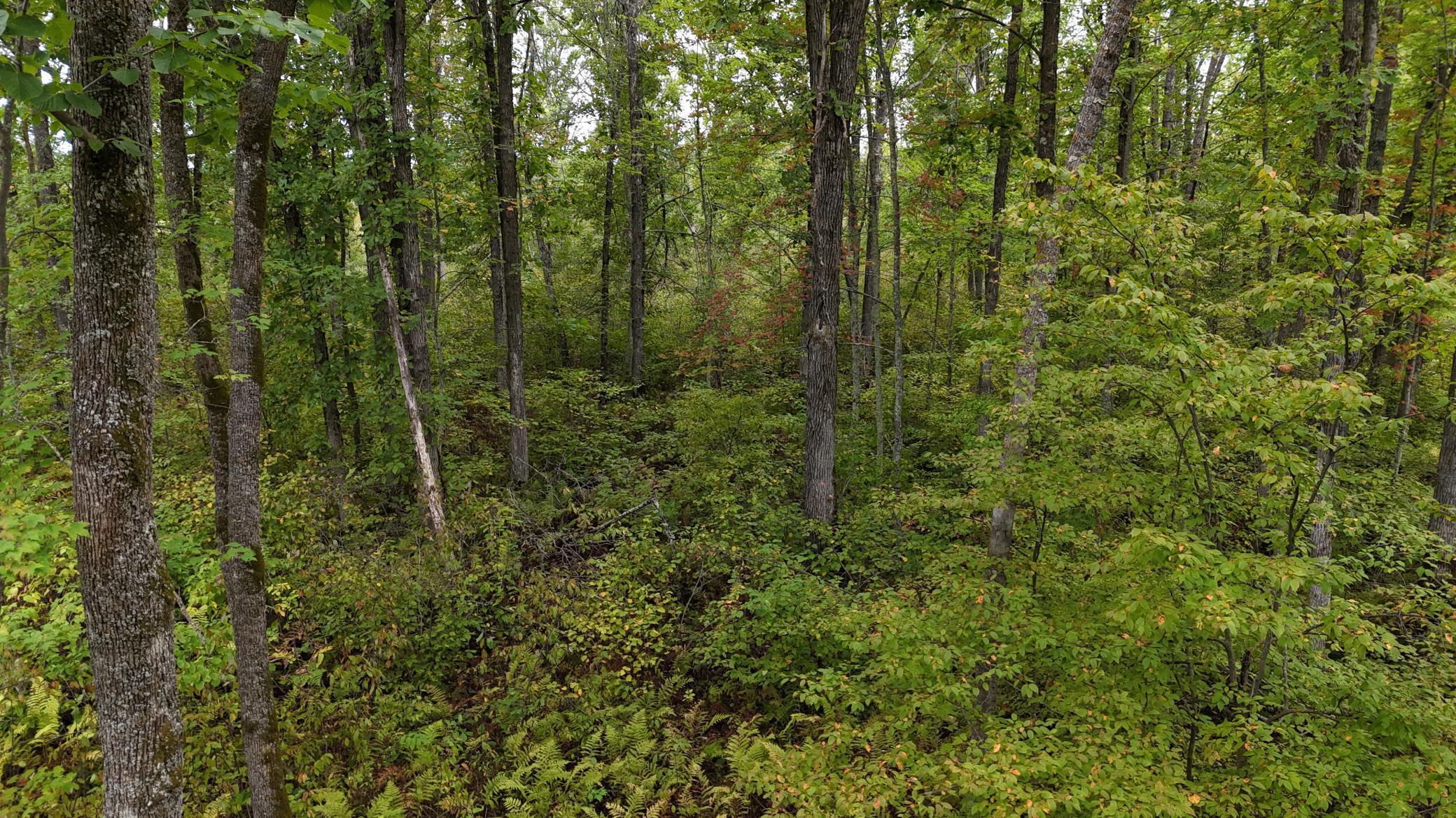 TBD Rainbow Trout Trail, Sandstone, Minnesota image 33