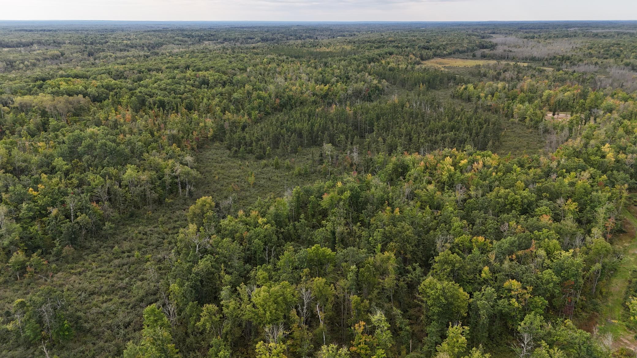 TBD Rainbow Trout Trail, Sandstone, Minnesota image 17