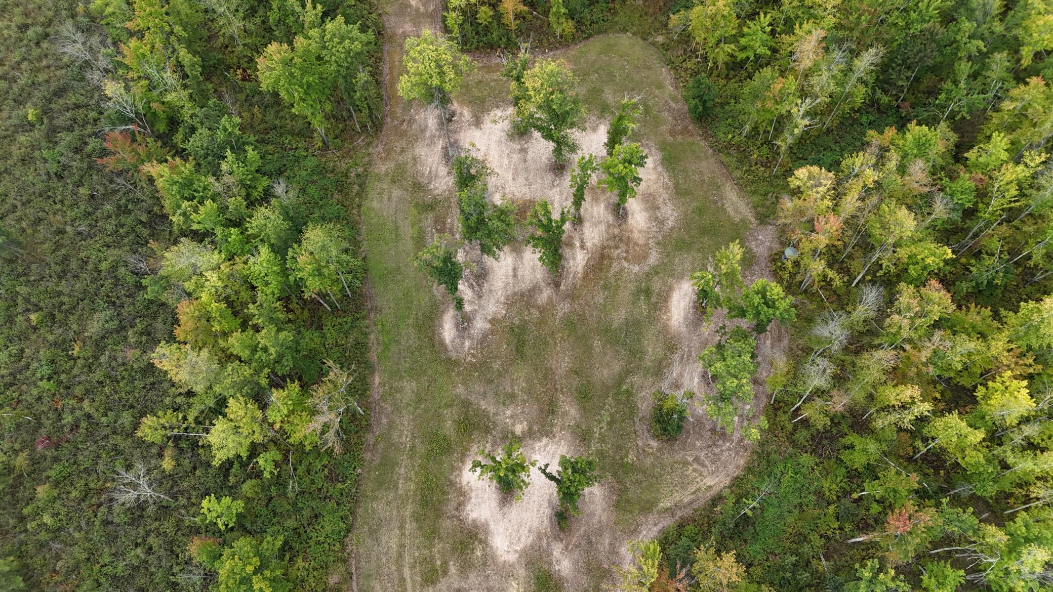 TBD Rainbow Trout Trail, Sandstone, Minnesota image 16