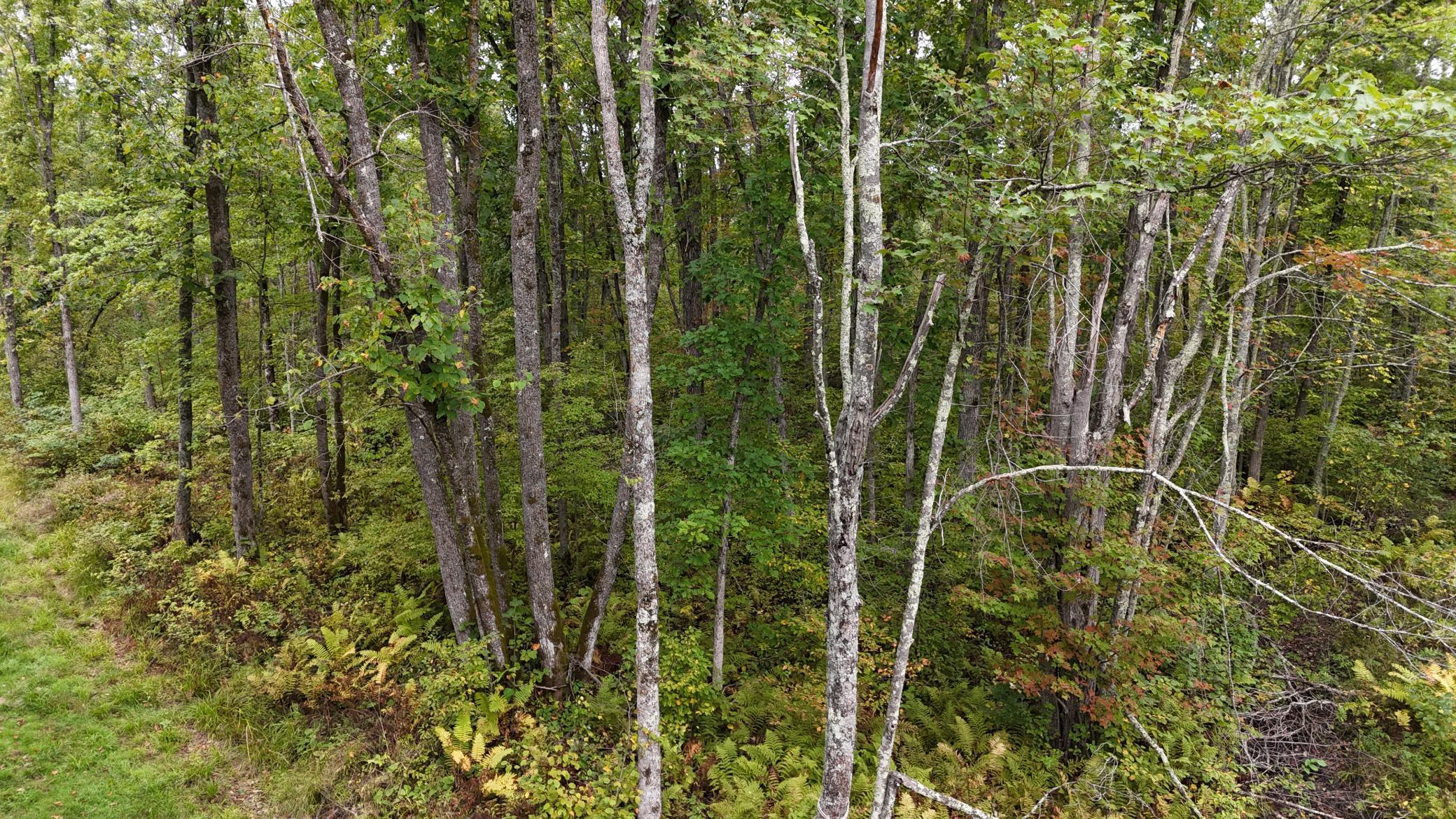 TBD Rainbow Trout Trail, Sandstone, Minnesota image 32