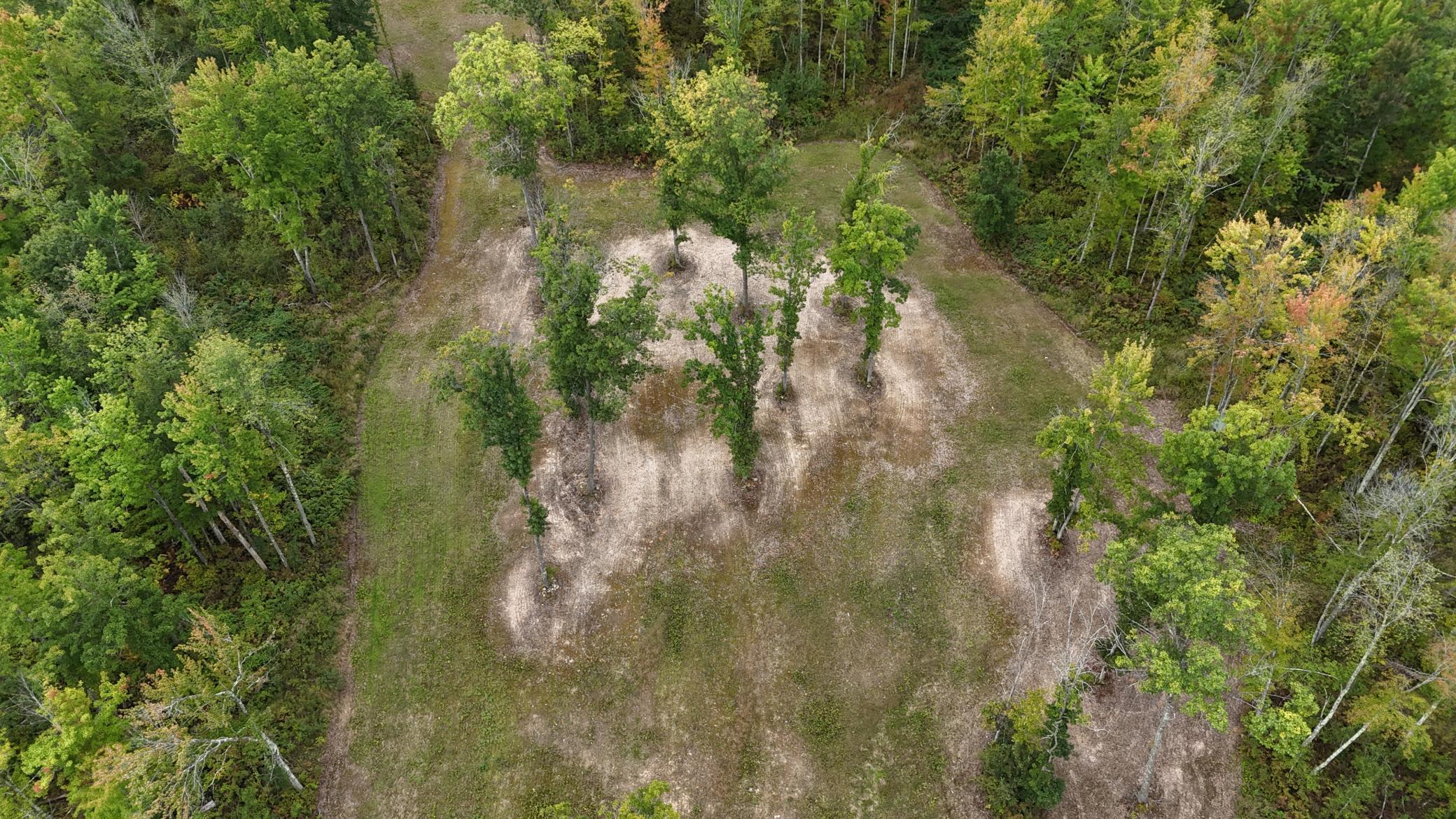 TBD Rainbow Trout Trail, Sandstone, Minnesota image 23