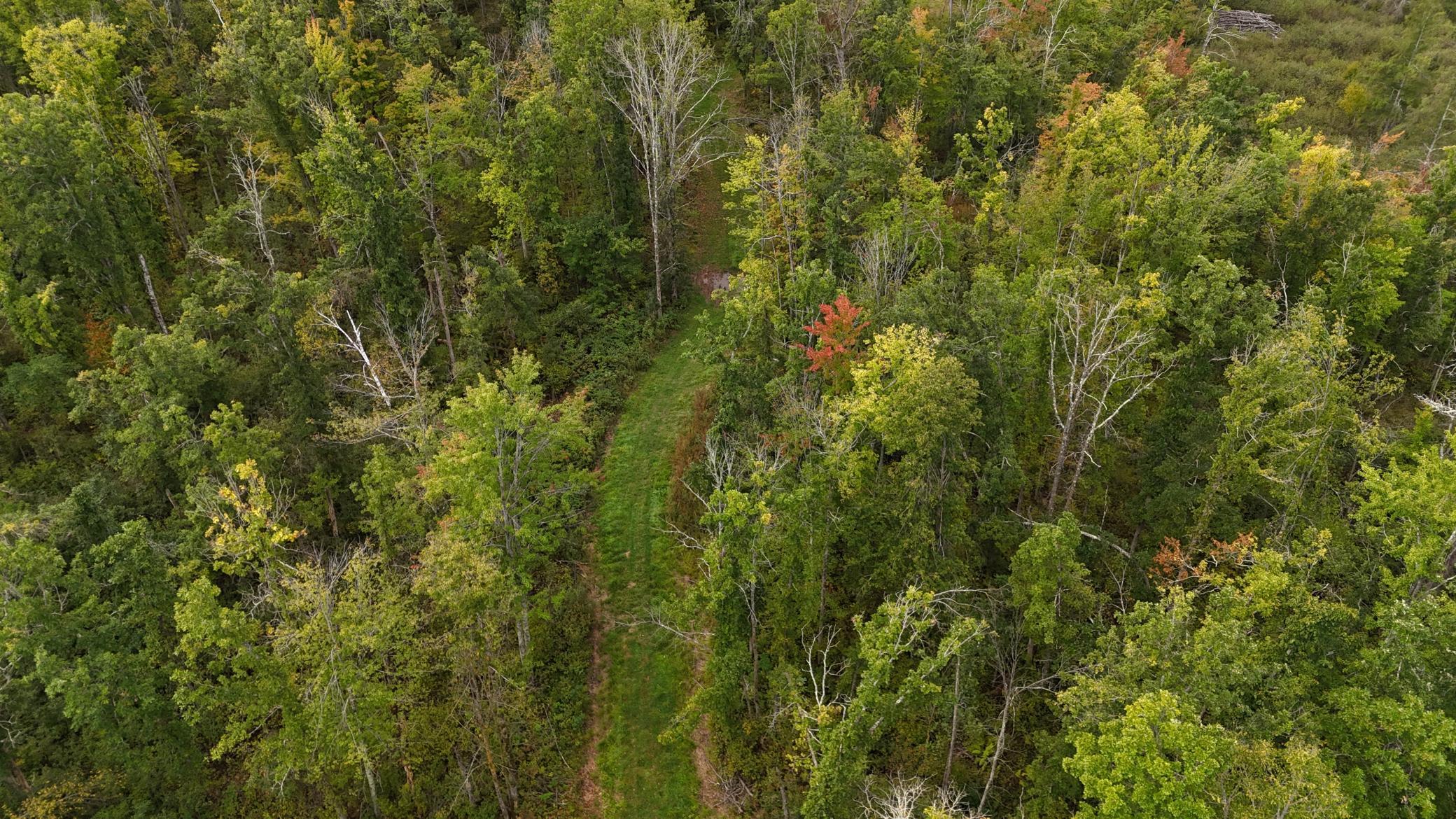 TBD Rainbow Trout Trail, Sandstone, Minnesota image 2