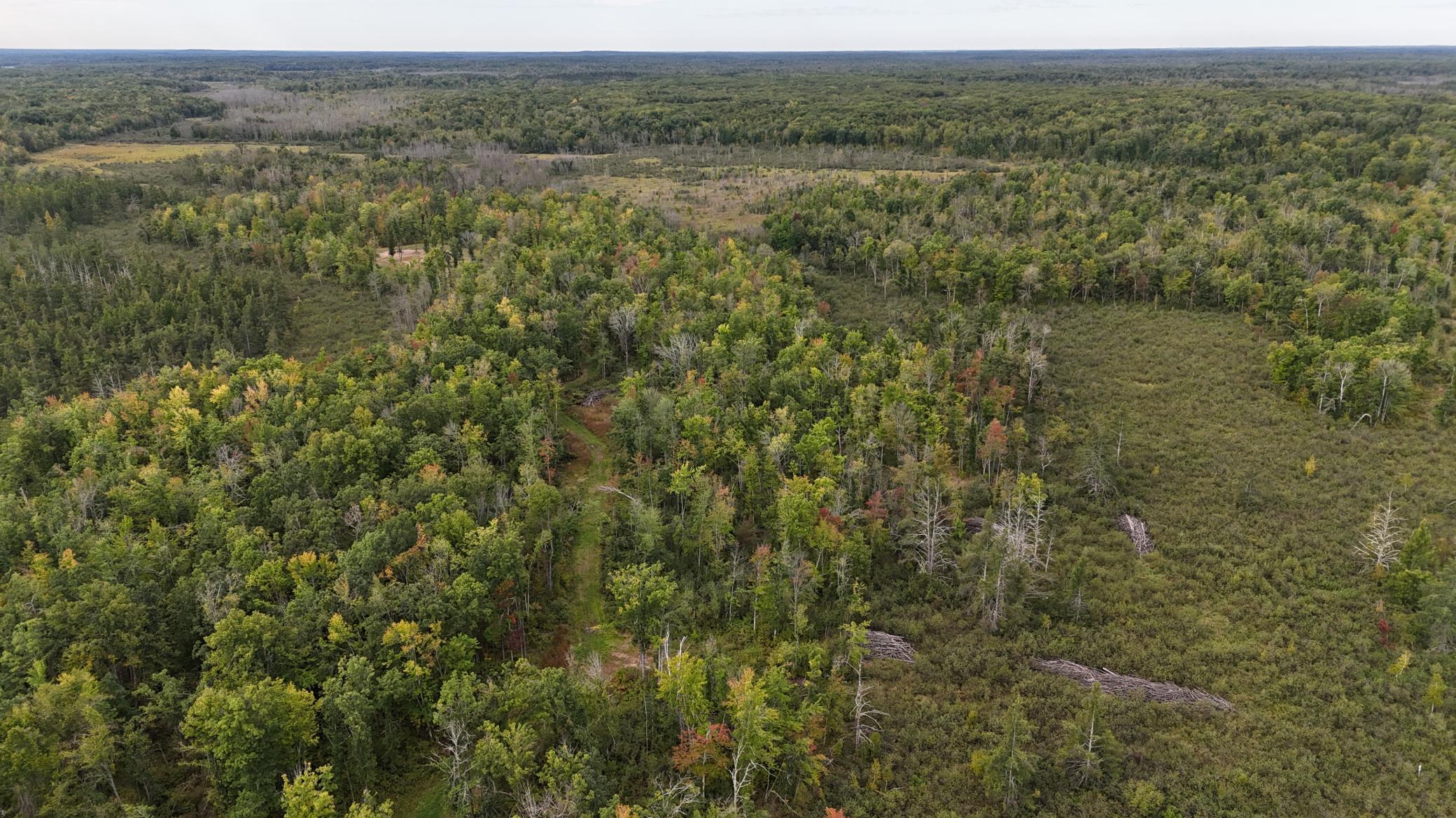 TBD Rainbow Trout Trail, Sandstone, Minnesota image 15