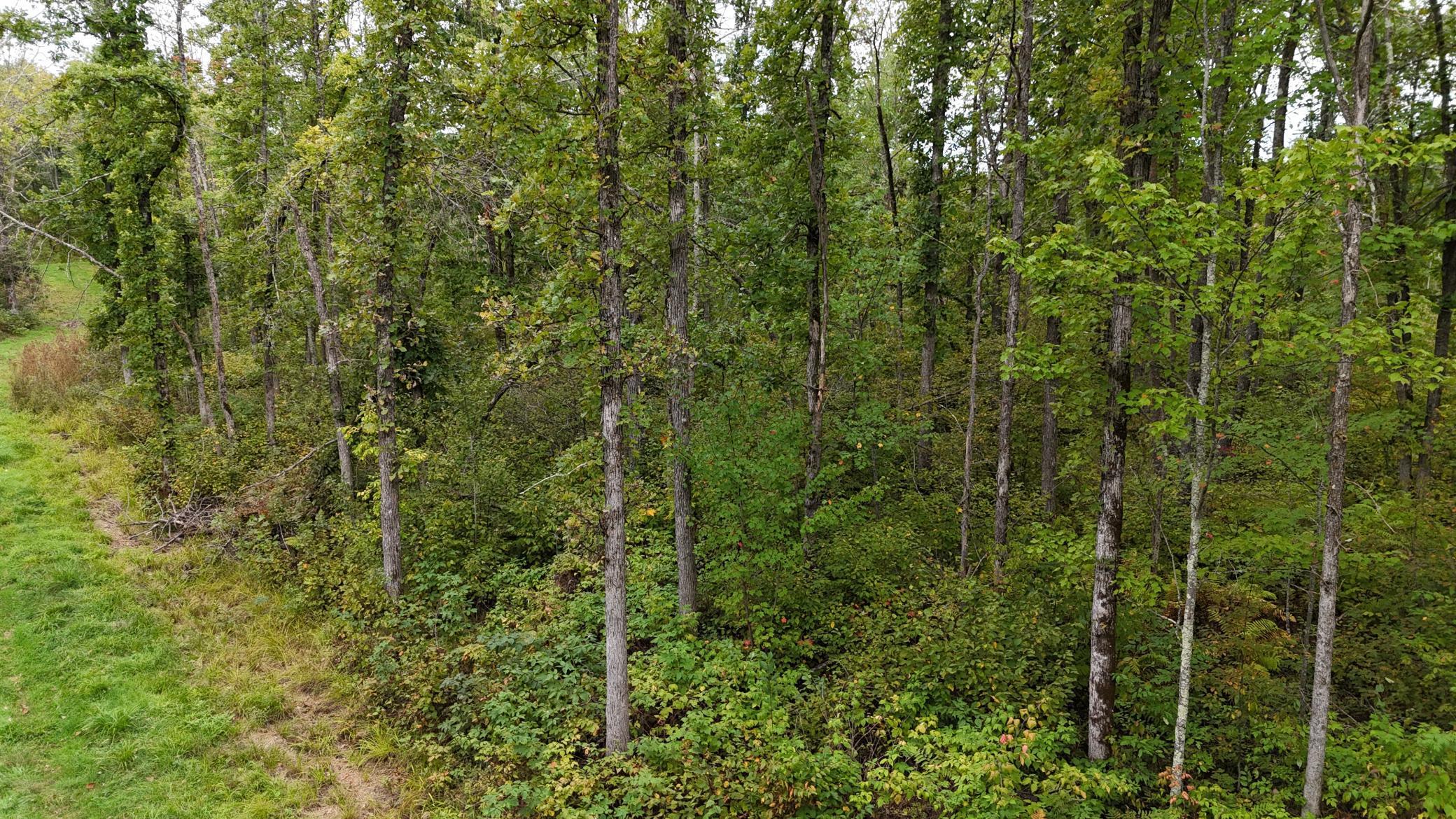 TBD Rainbow Trout Trail, Sandstone, Minnesota image 36