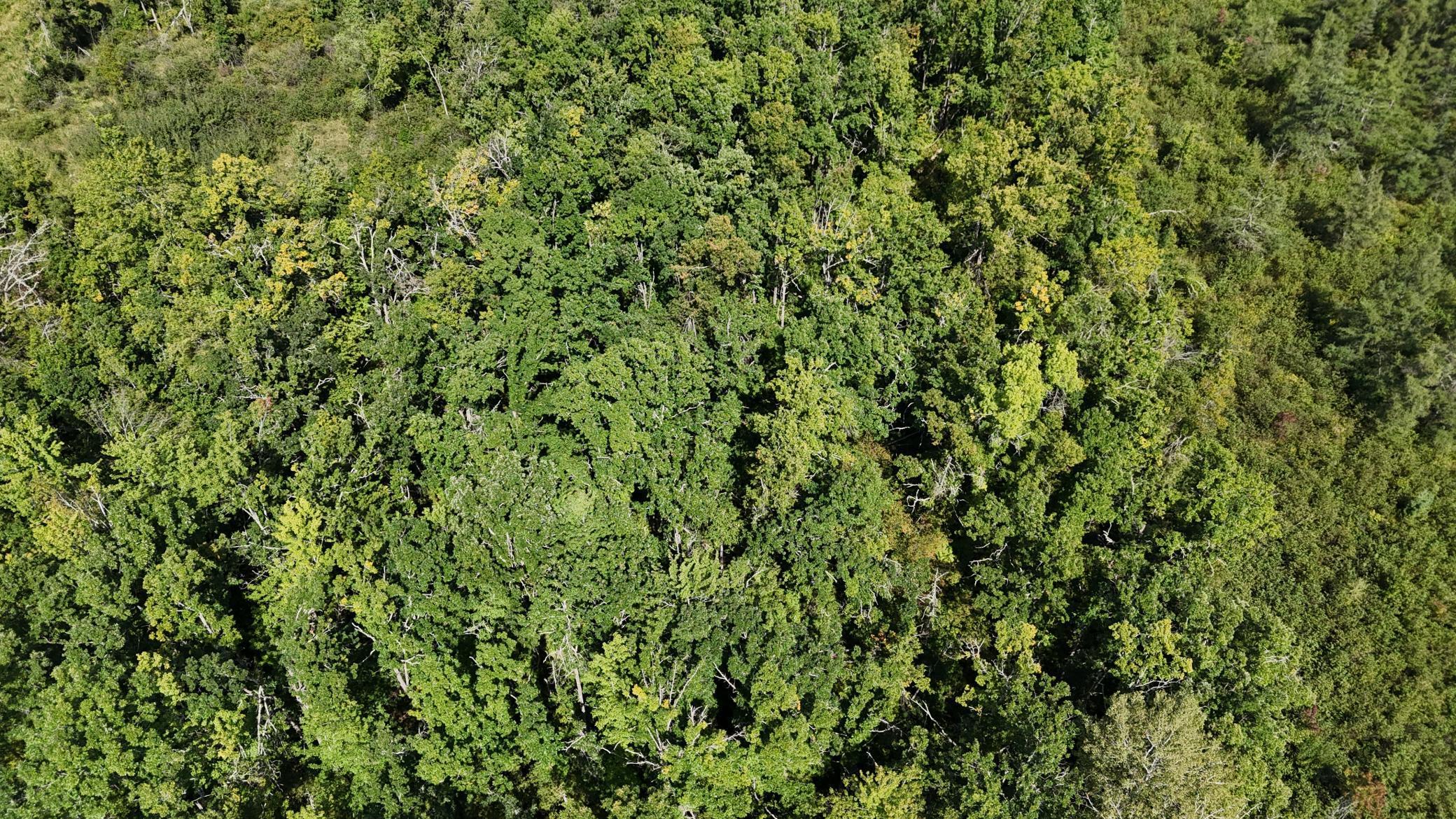 TBD Rainbow Trout Trail, Sandstone, Minnesota image 10