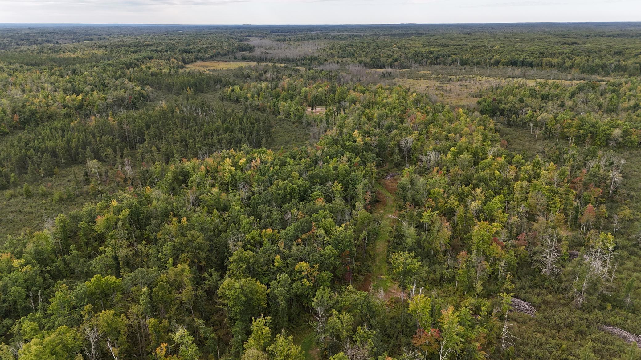 TBD Rainbow Trout Trail, Sandstone, Minnesota image 14