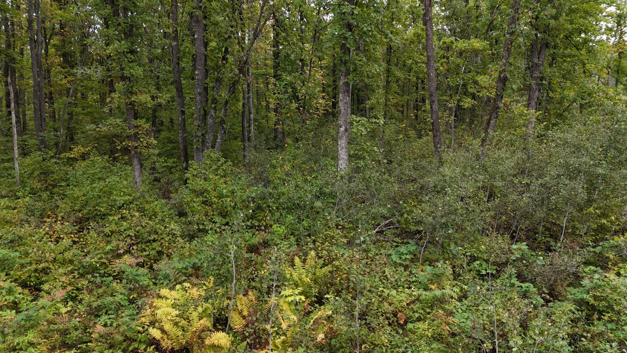 TBD Rainbow Trout Trail, Sandstone, Minnesota image 37