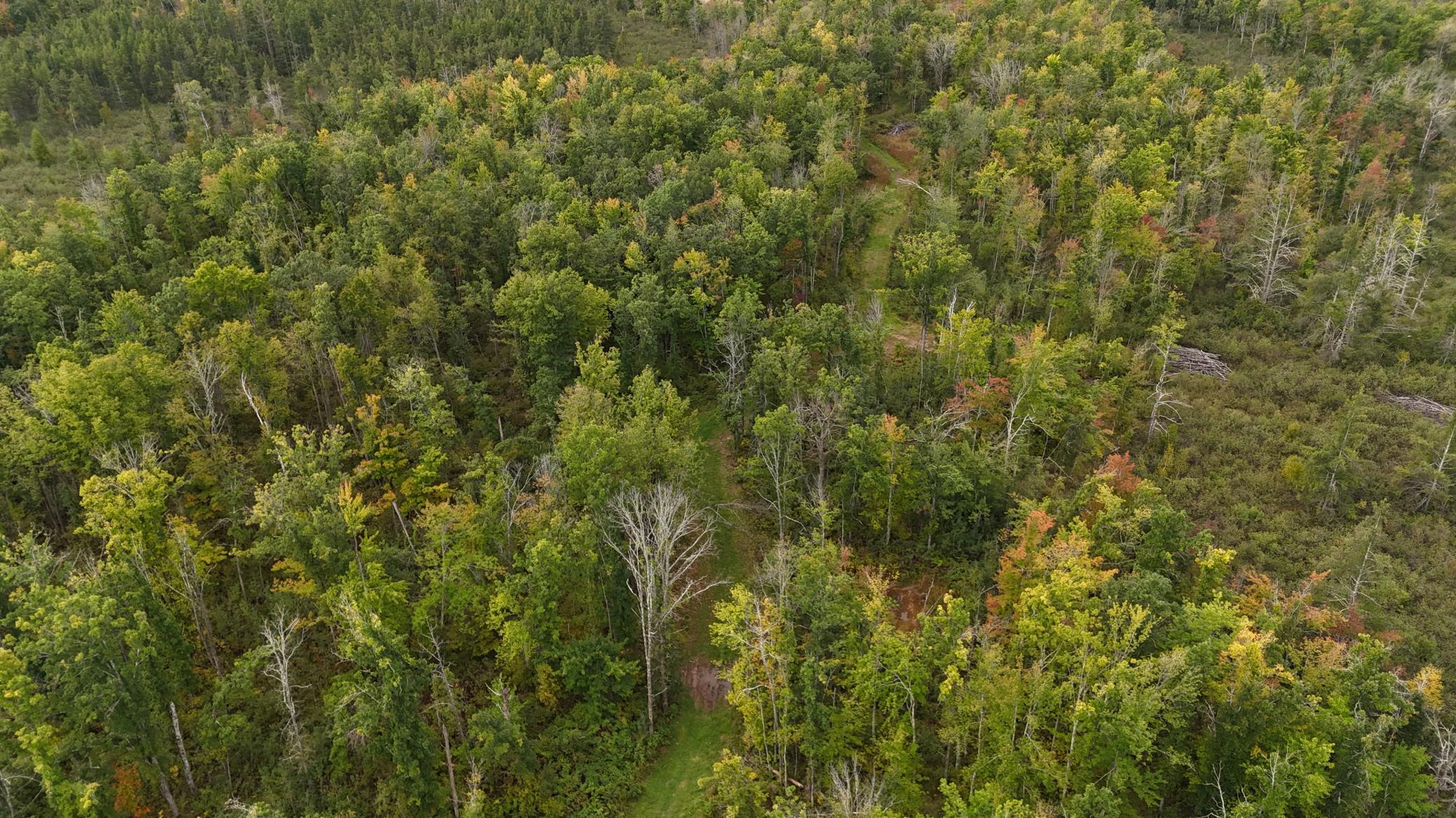 TBD Rainbow Trout Trail, Sandstone, Minnesota image 13