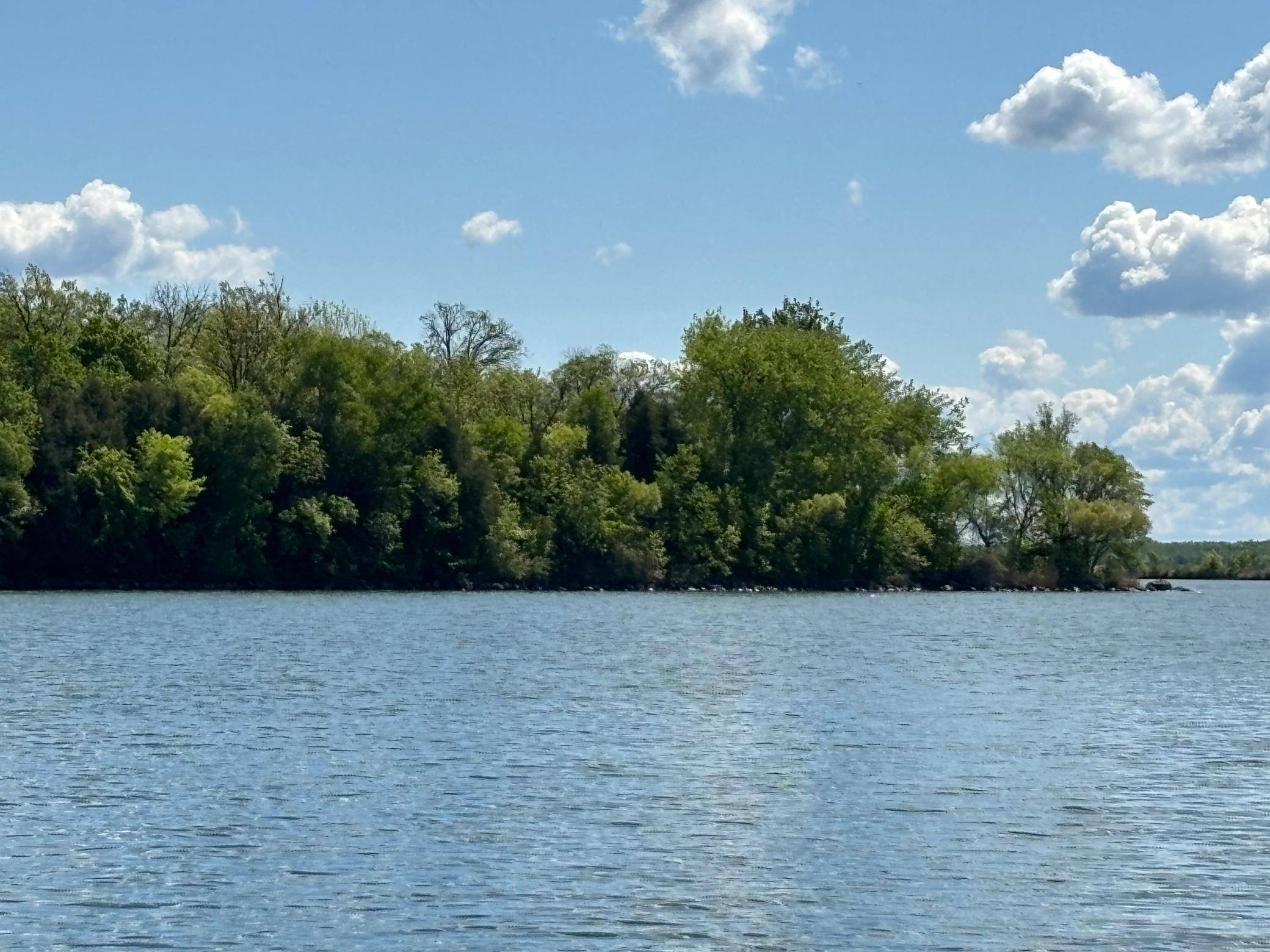 TBD Tbd, Walker, Minnesota image 4