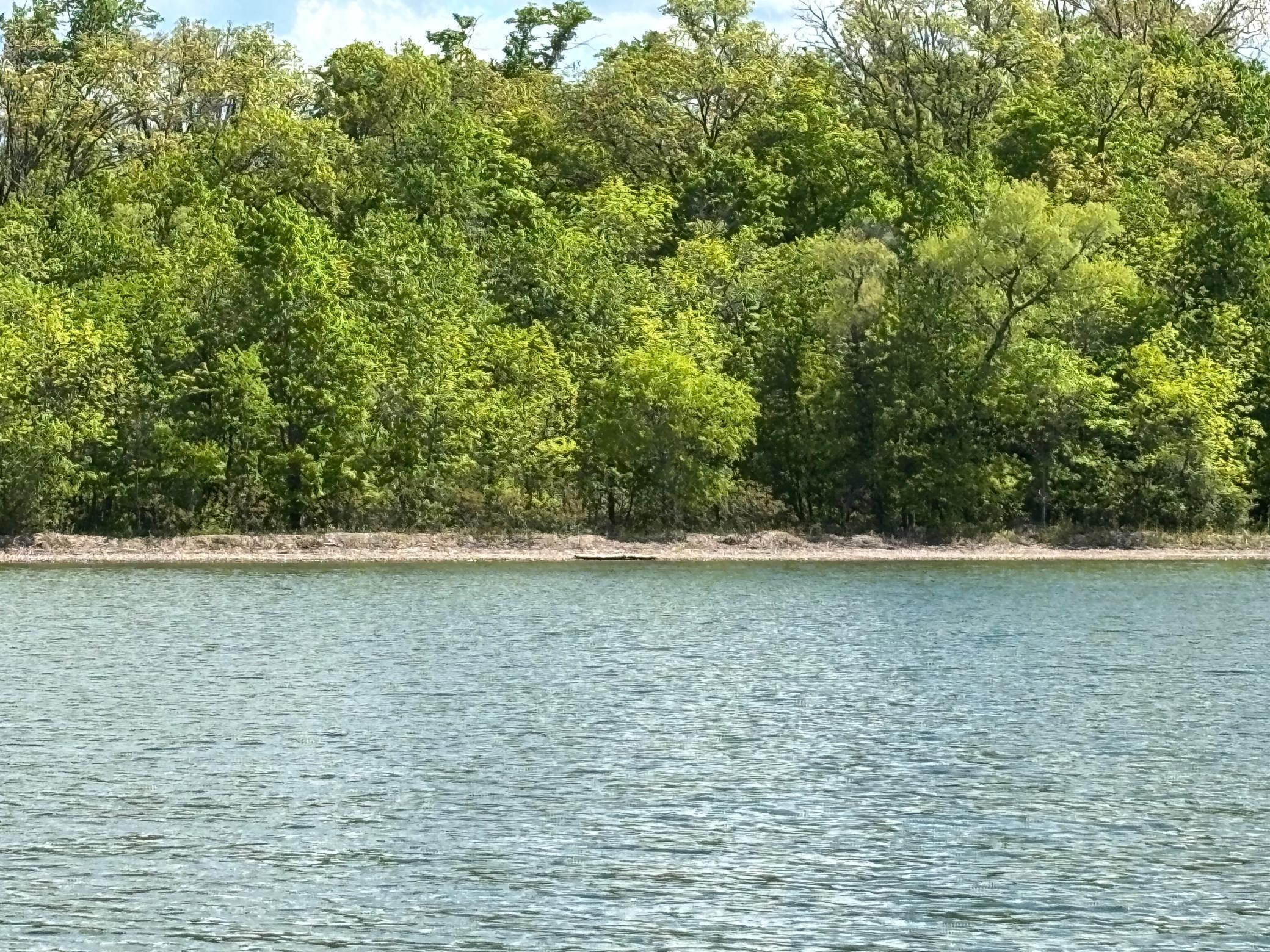 TBD Tbd, Walker, Minnesota image 3