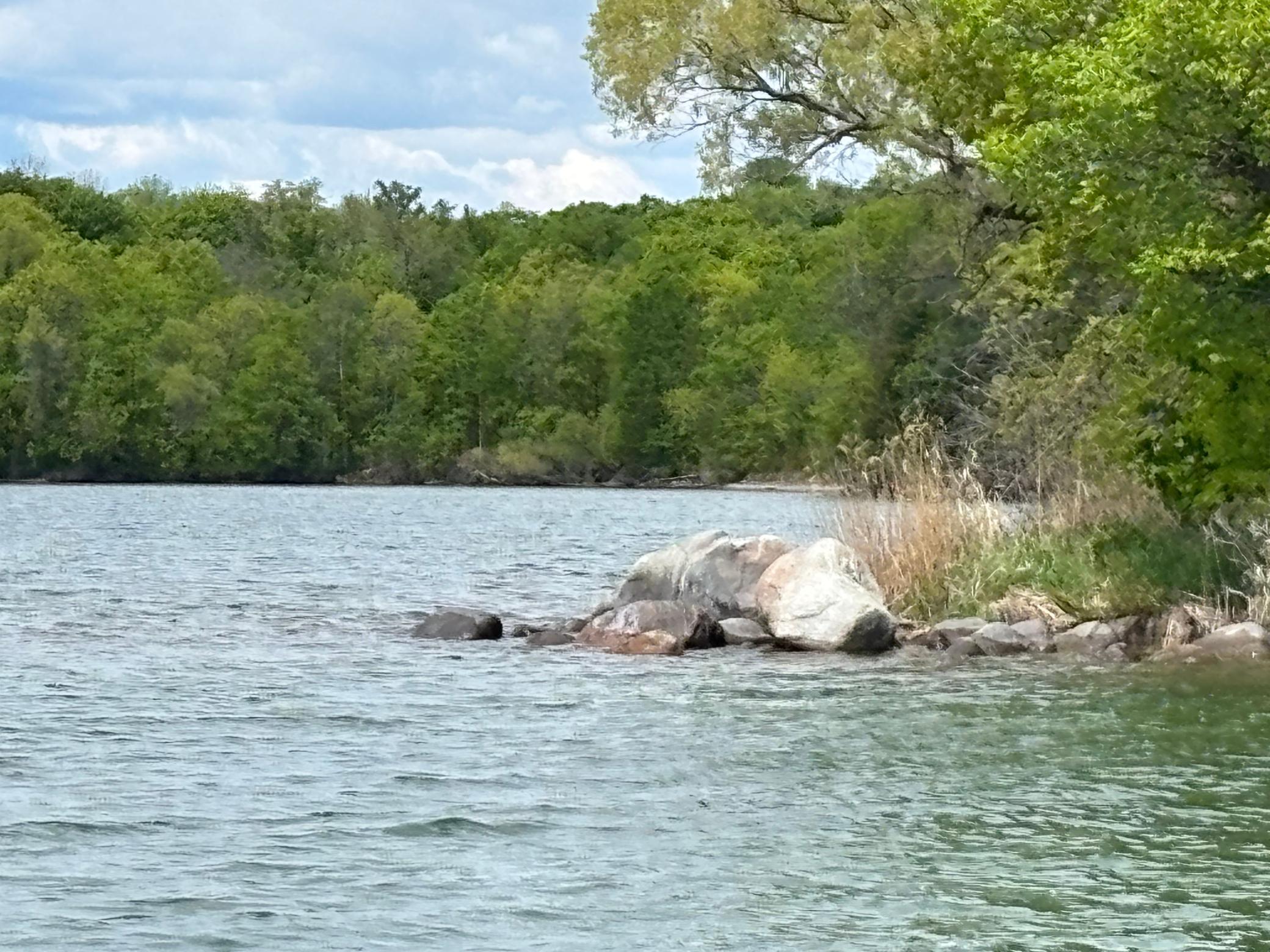 TBD Tbd, Walker, Minnesota image 15