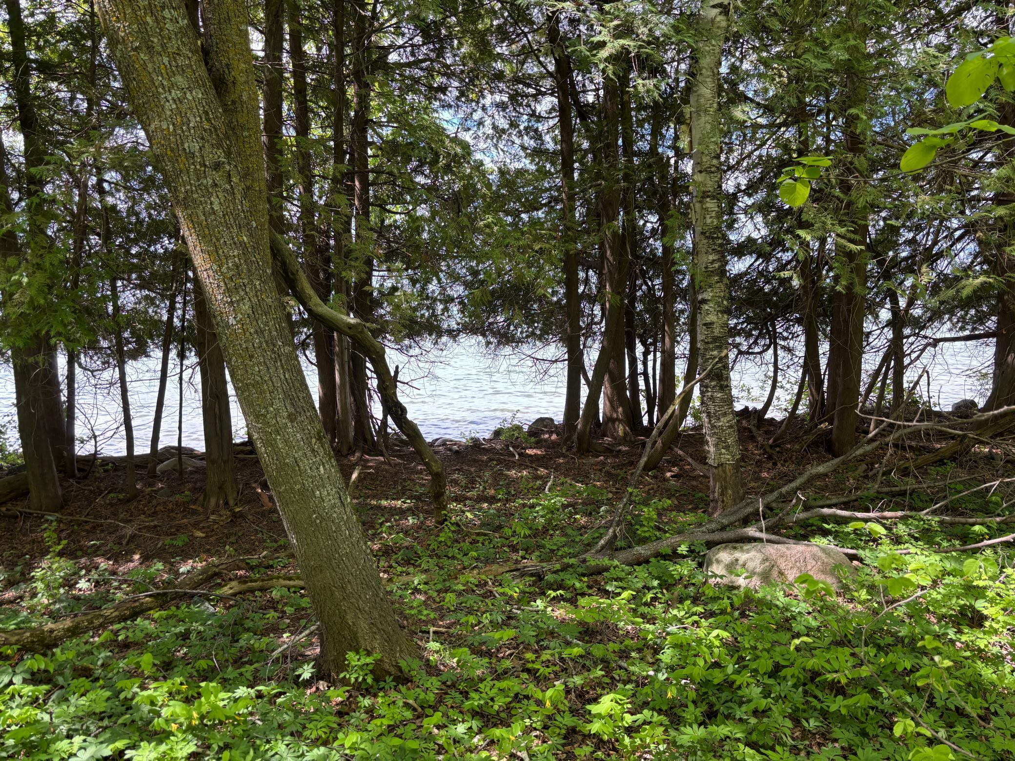 TBD Tbd, Walker, Minnesota image 10