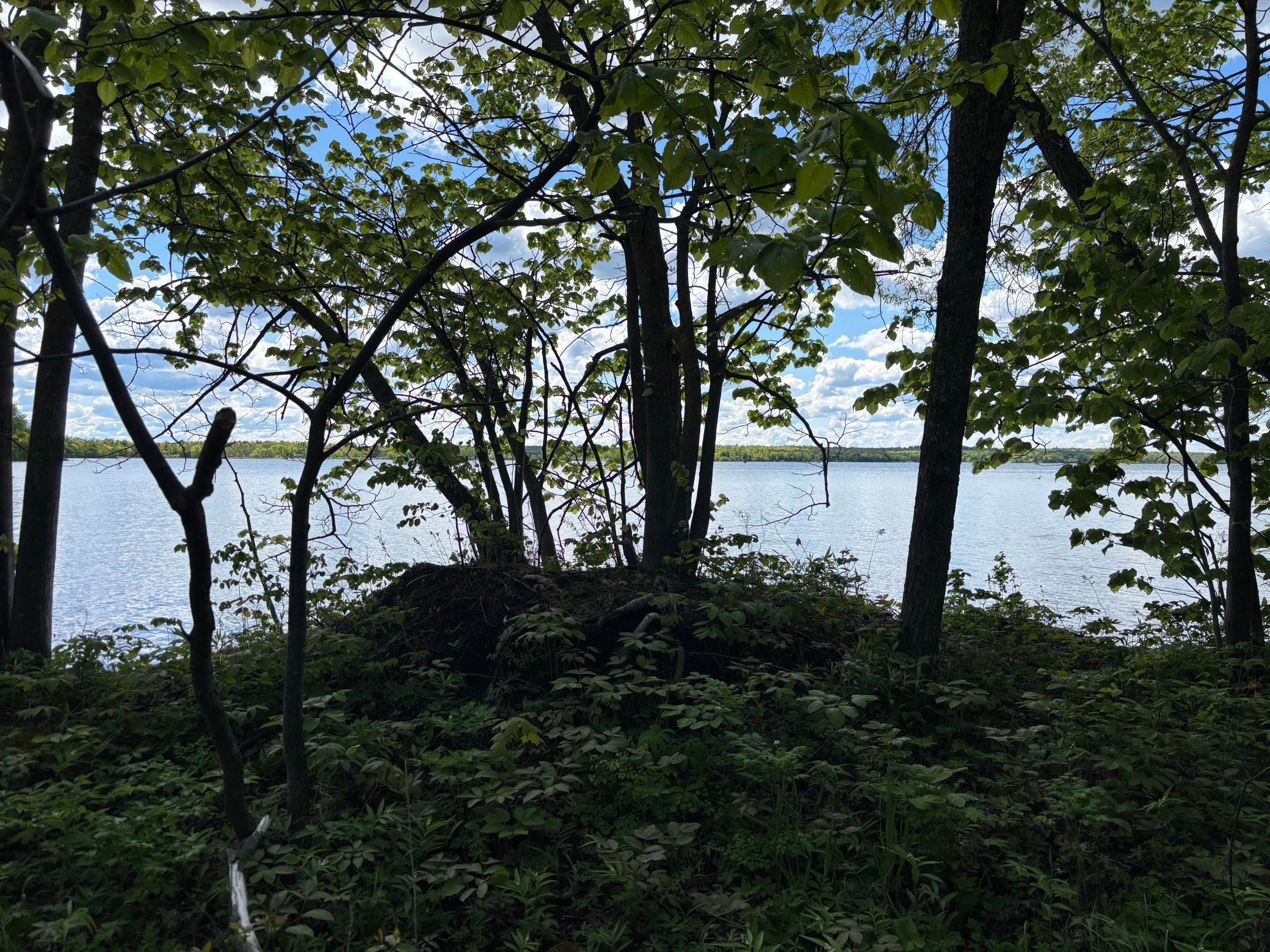 TBD Tbd, Walker, Minnesota image 14