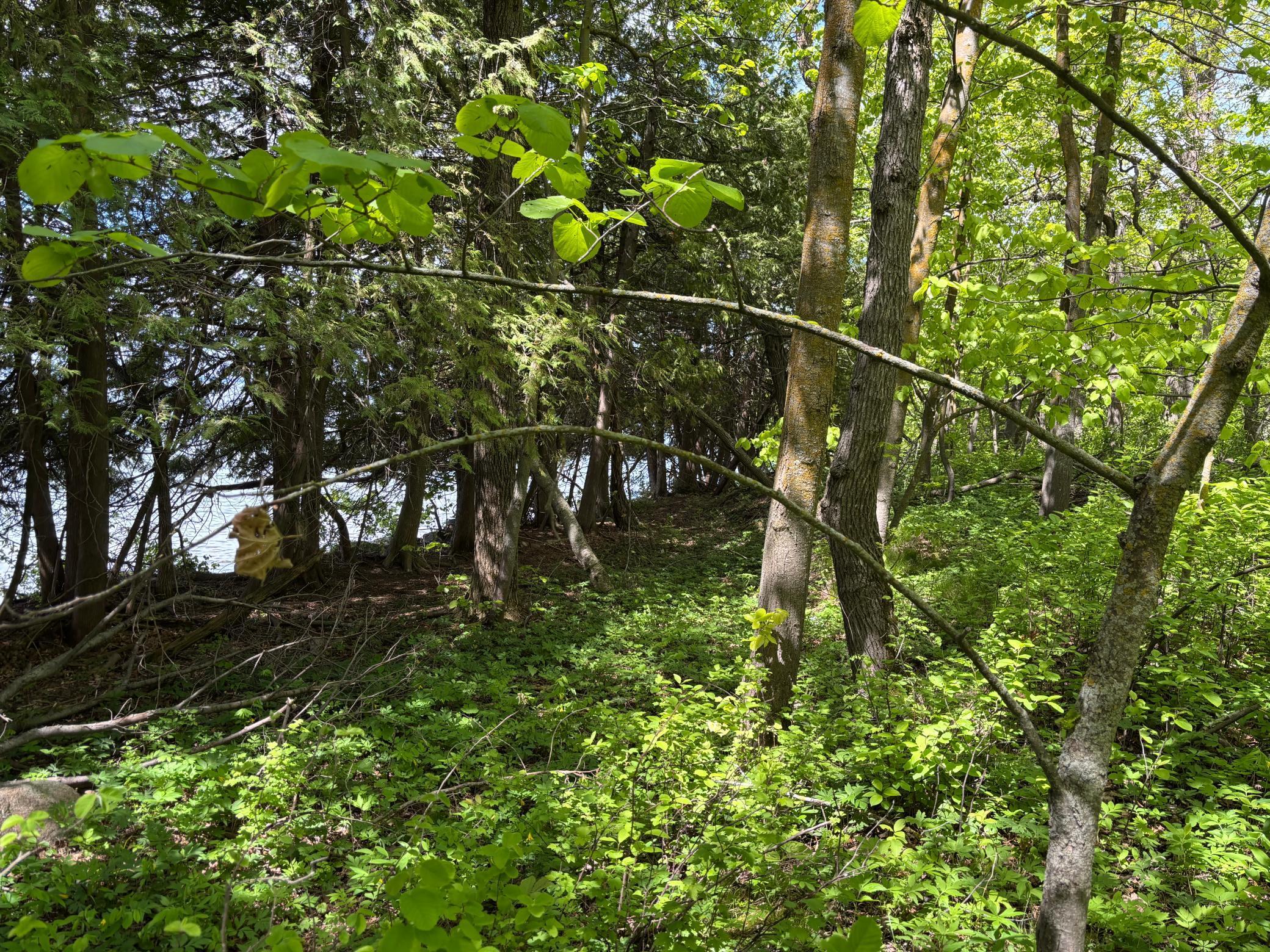 TBD Tbd, Walker, Minnesota image 12