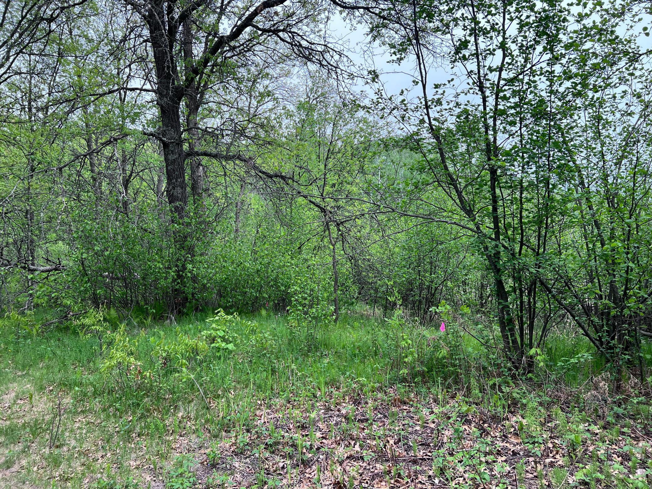 LOT 9 BLOCK 1 Yellow Birch Lane, Emily, Minnesota image 5