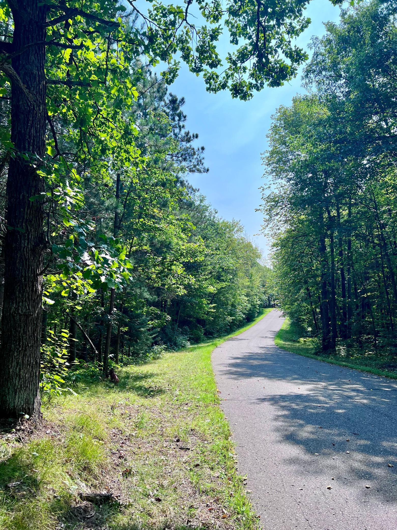 LOT 9 BLOCK 1 Yellow Birch Lane, Emily, Minnesota image 27