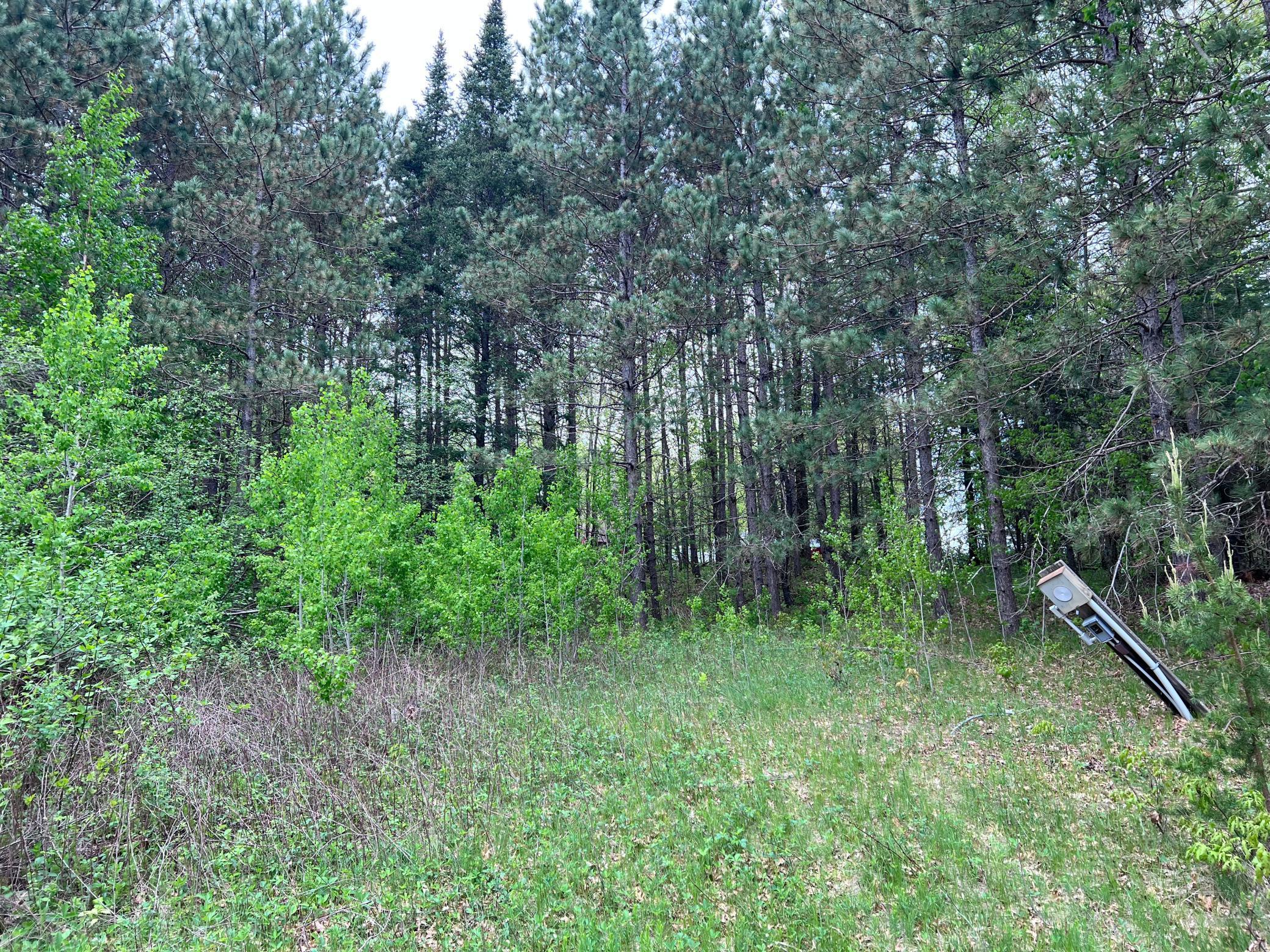LOT 9 BLOCK 1 Yellow Birch Lane, Emily, Minnesota image 7