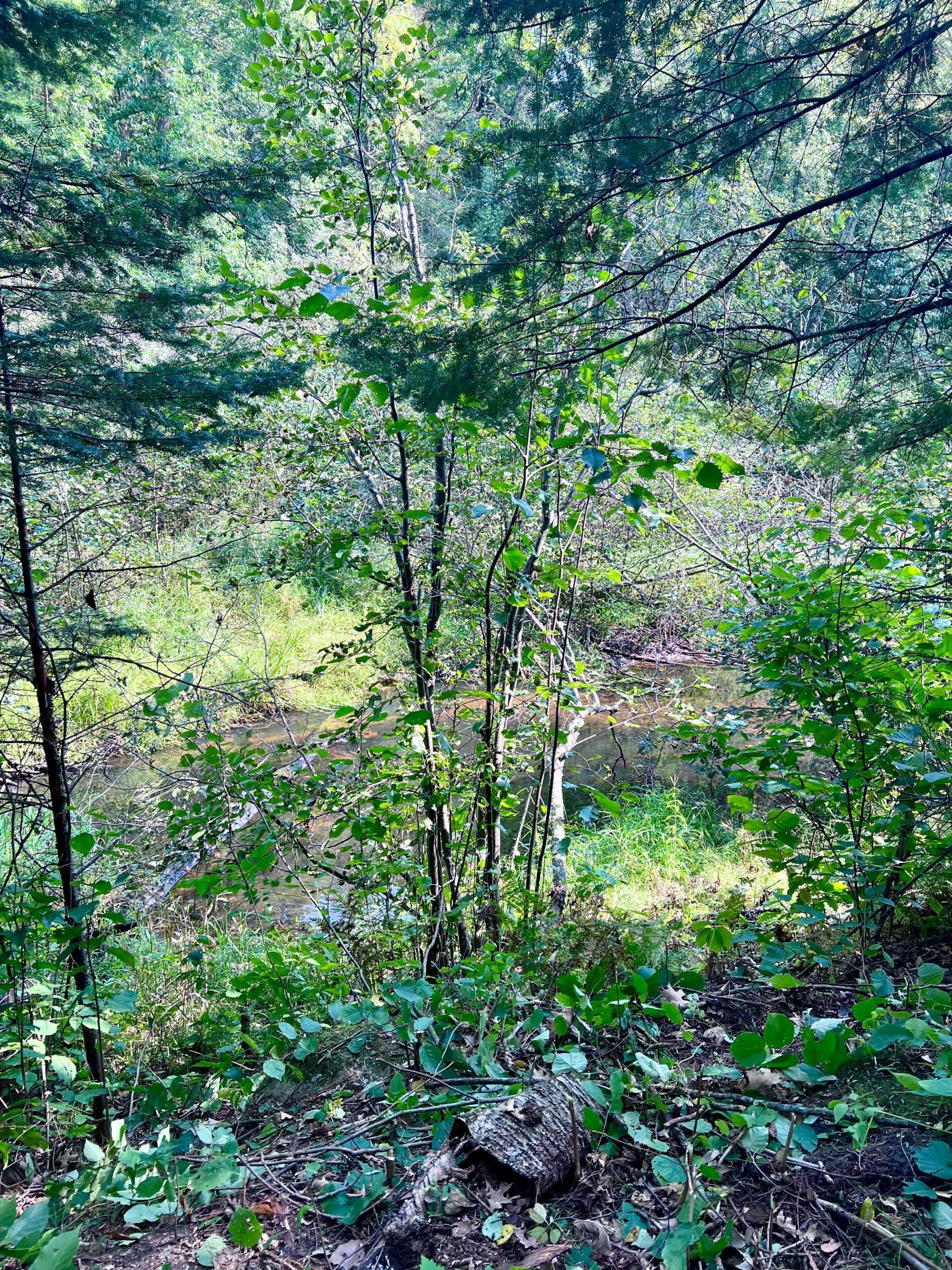 LOT 9 BLOCK 1 Yellow Birch Lane, Emily, Minnesota image 25