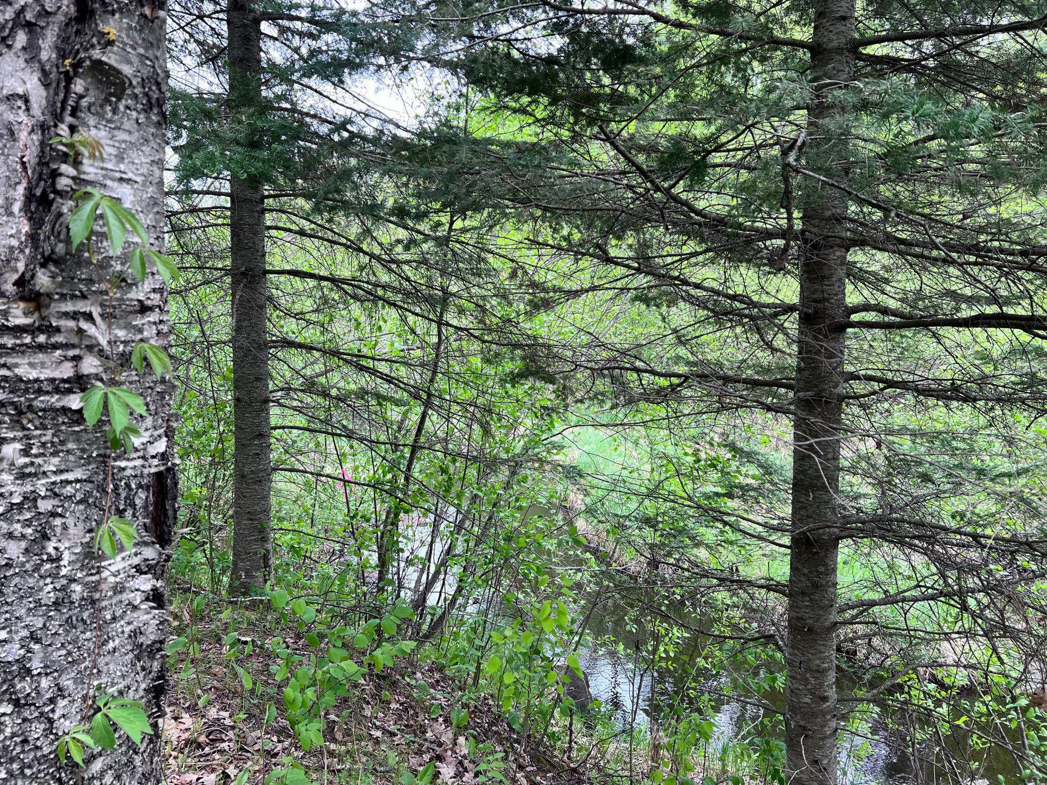 LOT 9 BLOCK 1 Yellow Birch Lane, Emily, Minnesota image 11