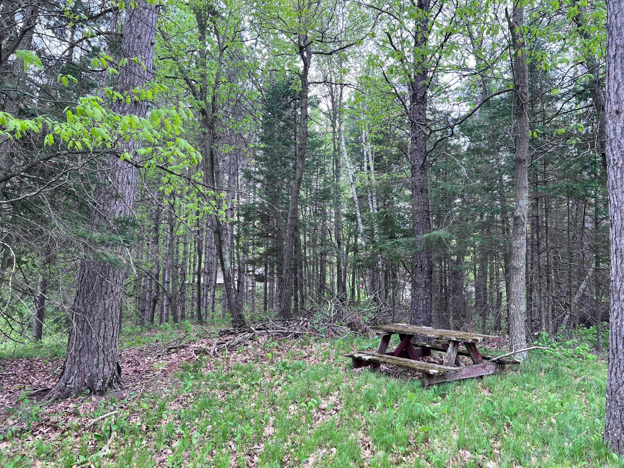 LOT 9 BLOCK 1 Yellow Birch Lane, Emily, Minnesota image 10