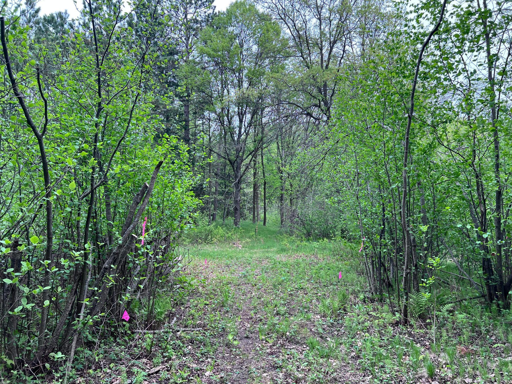LOT 9 BLOCK 1 Yellow Birch Lane, Emily, Minnesota image 3
