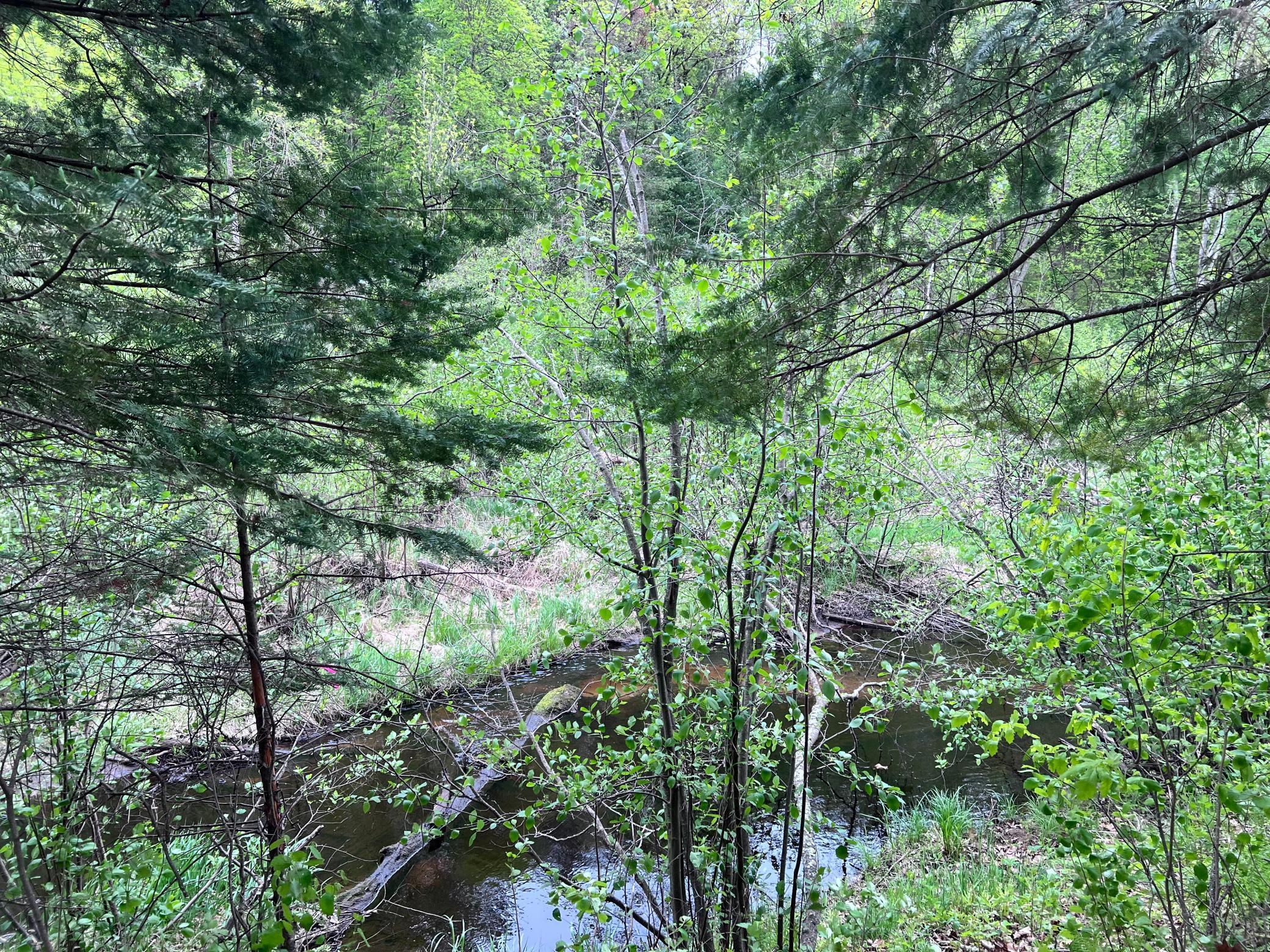 LOT 9 BLOCK 1 Yellow Birch Lane, Emily, Minnesota image 1