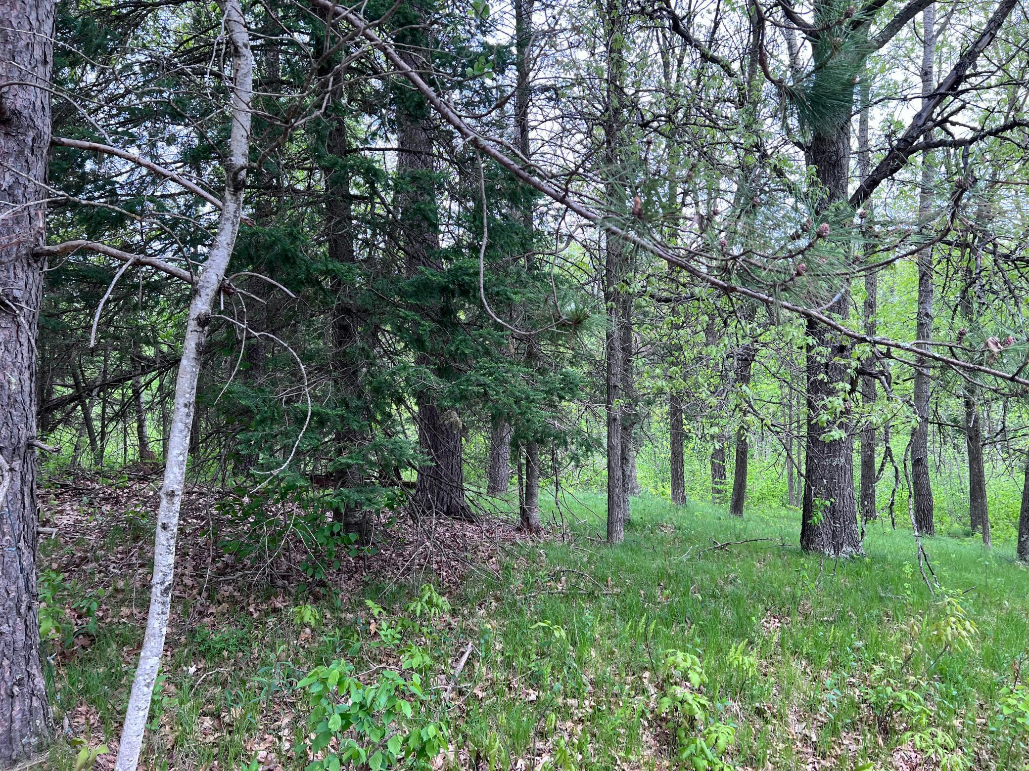 LOT 9 BLOCK 1 Yellow Birch Lane, Emily, Minnesota image 13