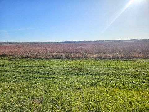 Vacant Land For Sale - TBD Tbd<br/> Marshall County, Newfolden, MN 56738