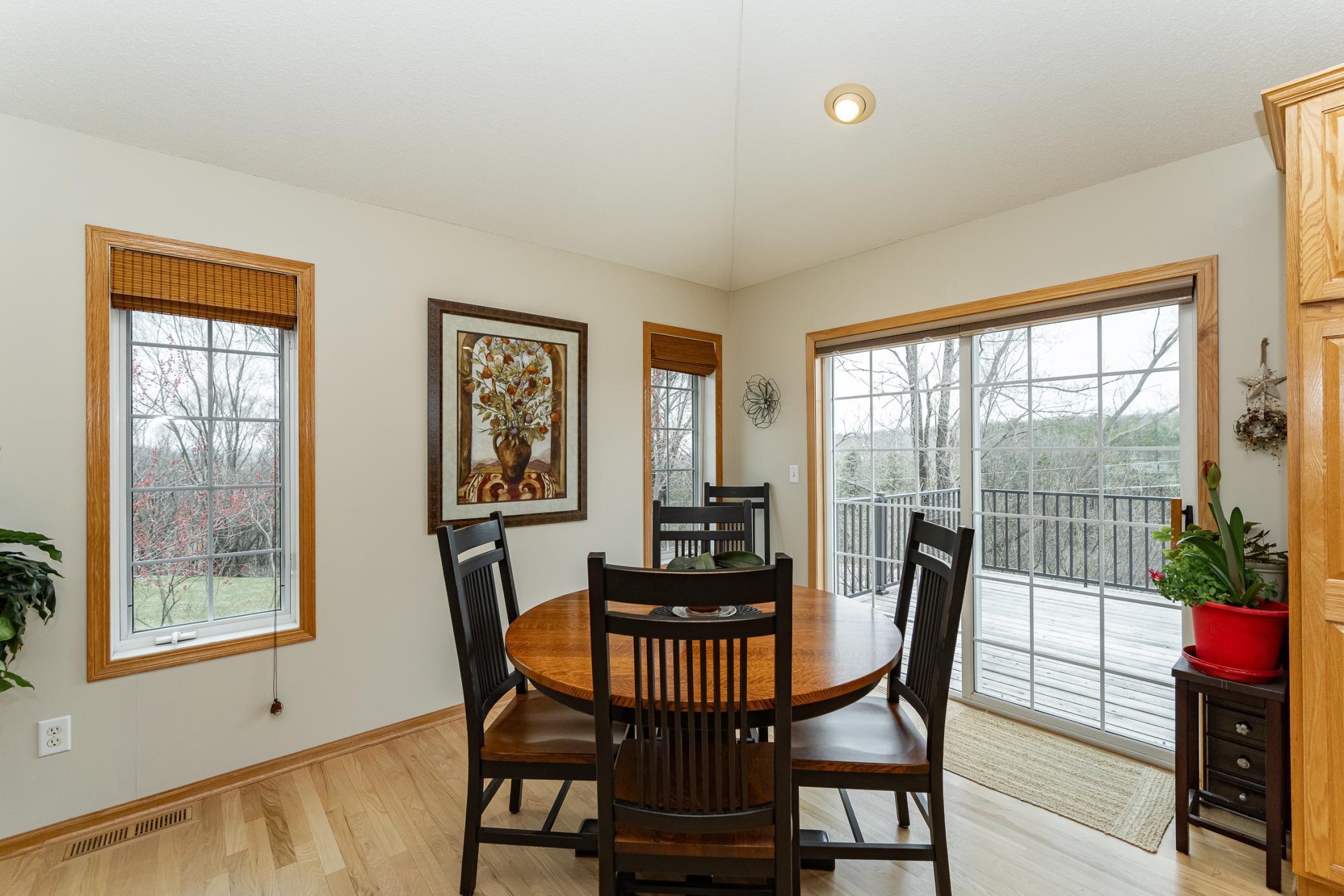 1313 Century Point Lane, Rochester, Minnesota image 11