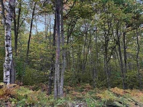 Vacant Land For Sale - 000 Old Hwy 2<br/> Bayfield County, Iron River, WI 54847