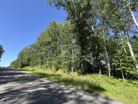 Vacant Land For Sale - LOT 8 Terminal Road<br/> Breezy Point, MN 56472