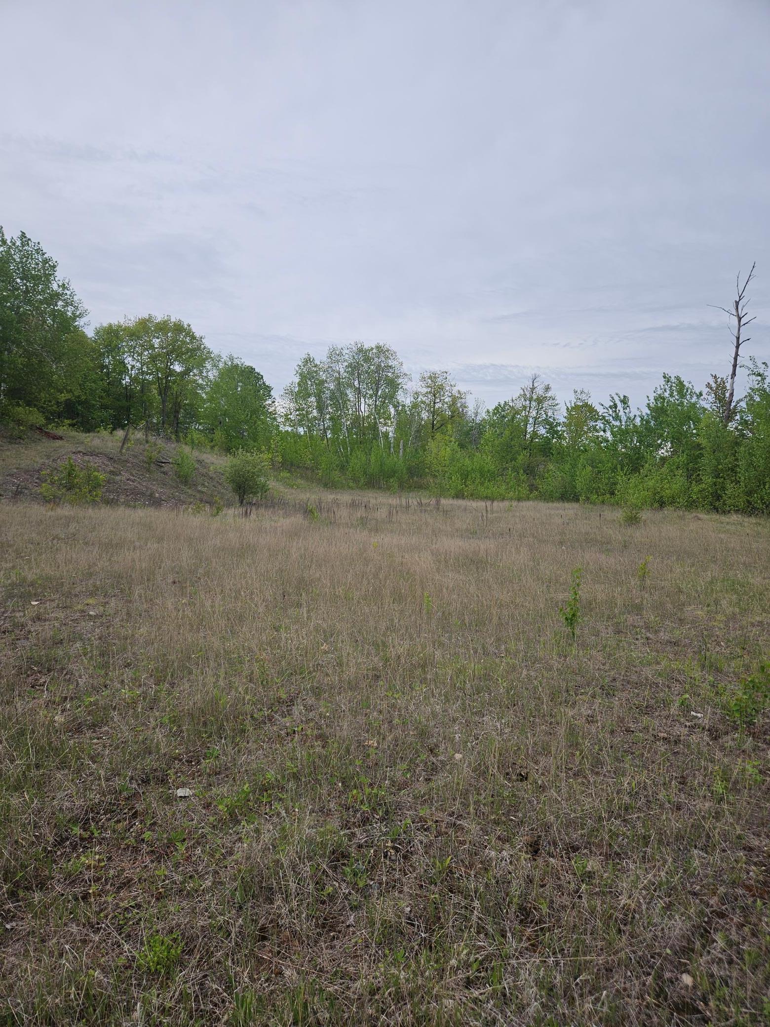 TBD 425 Place, Aitkin, Minnesota image 4