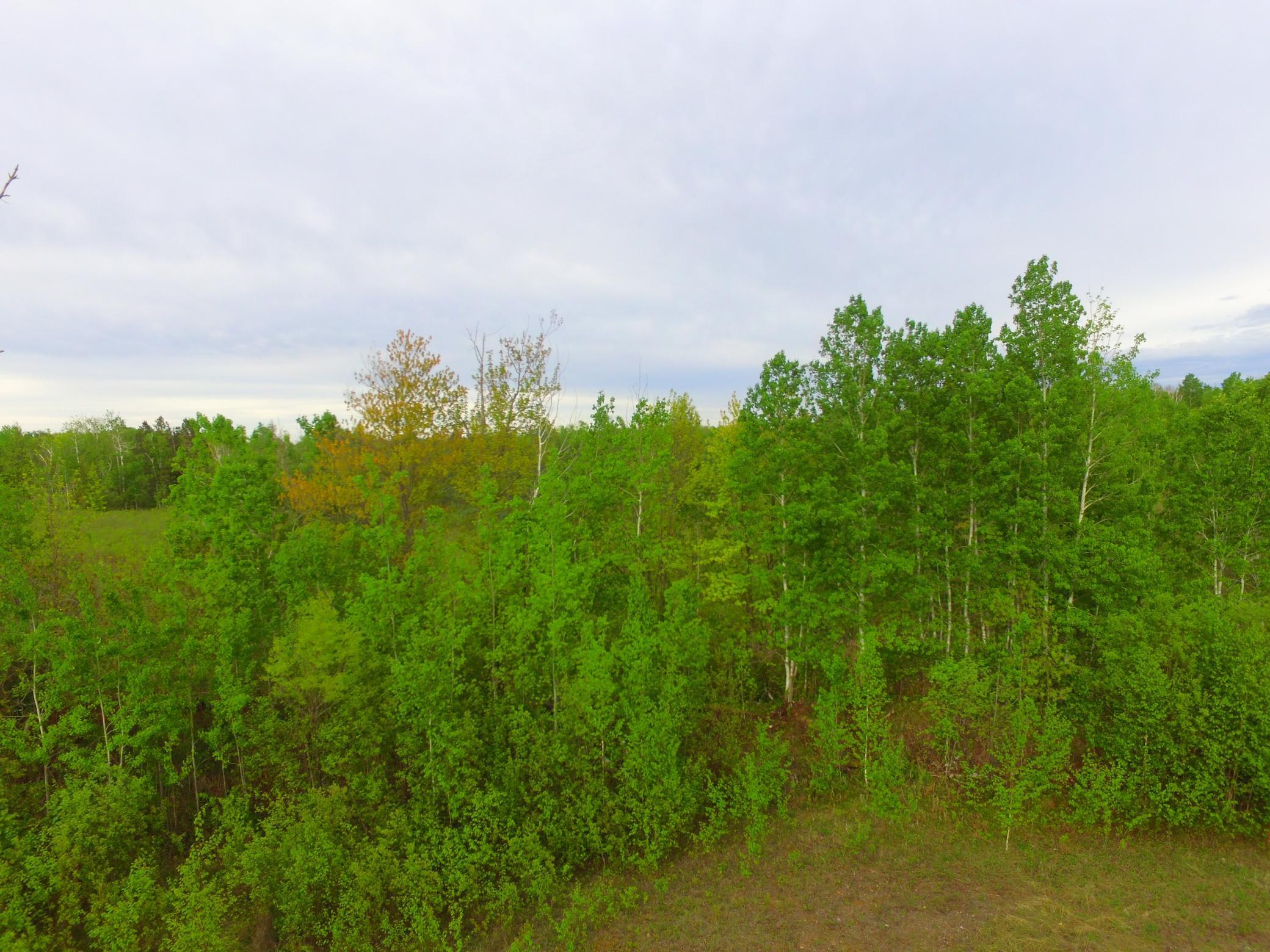 TBD 425 Place, Aitkin, Minnesota image 9