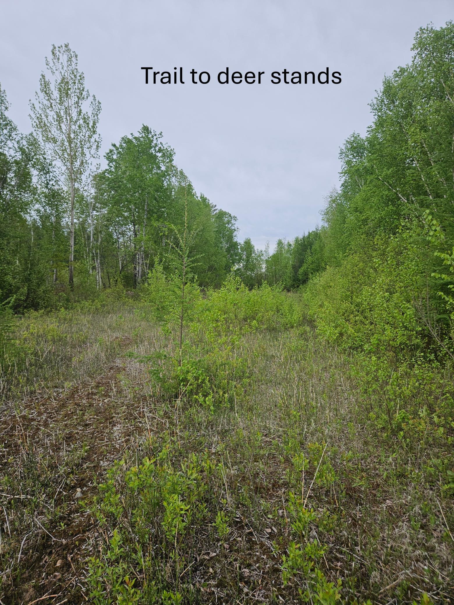 TBD 425 Place, Aitkin, Minnesota image 5