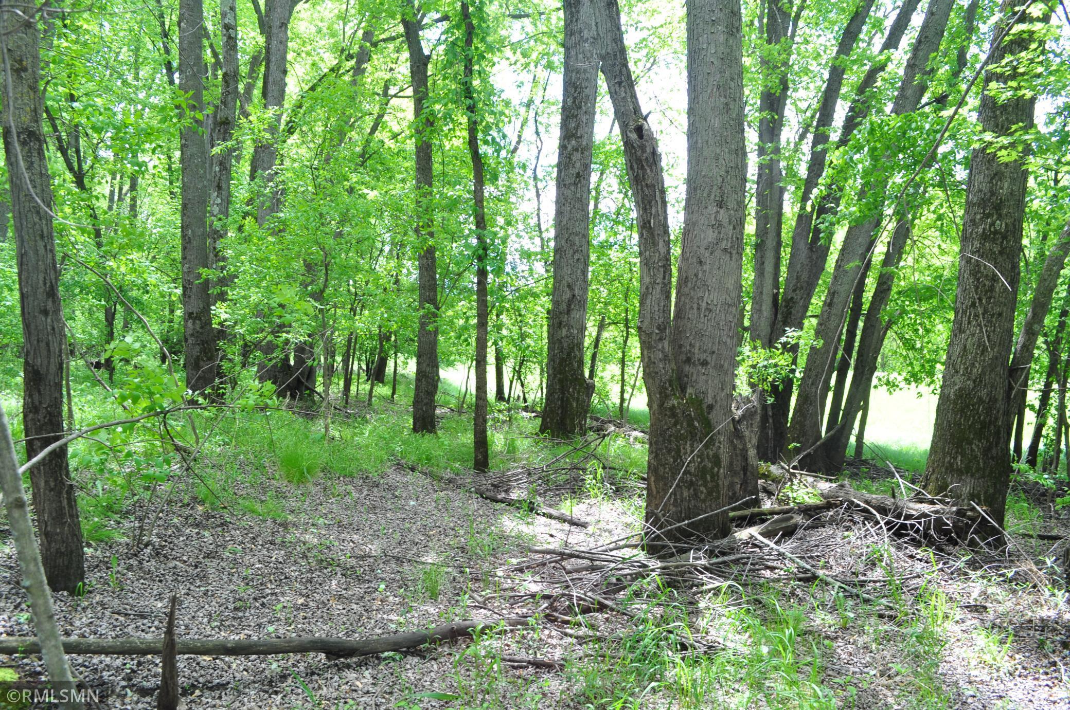 TBD Mahogany Street, Mora, Minnesota image 5