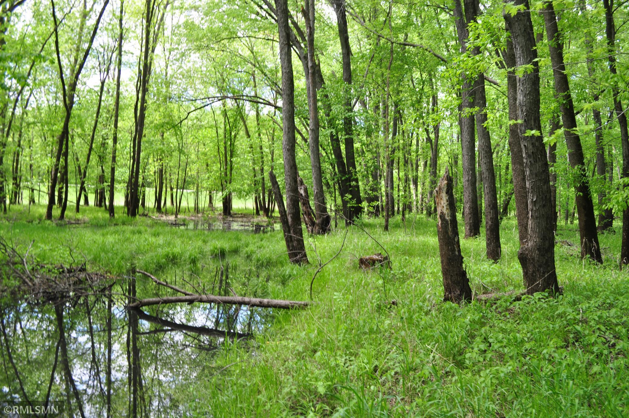 TBD Mahogany Street, Mora, Minnesota image 14