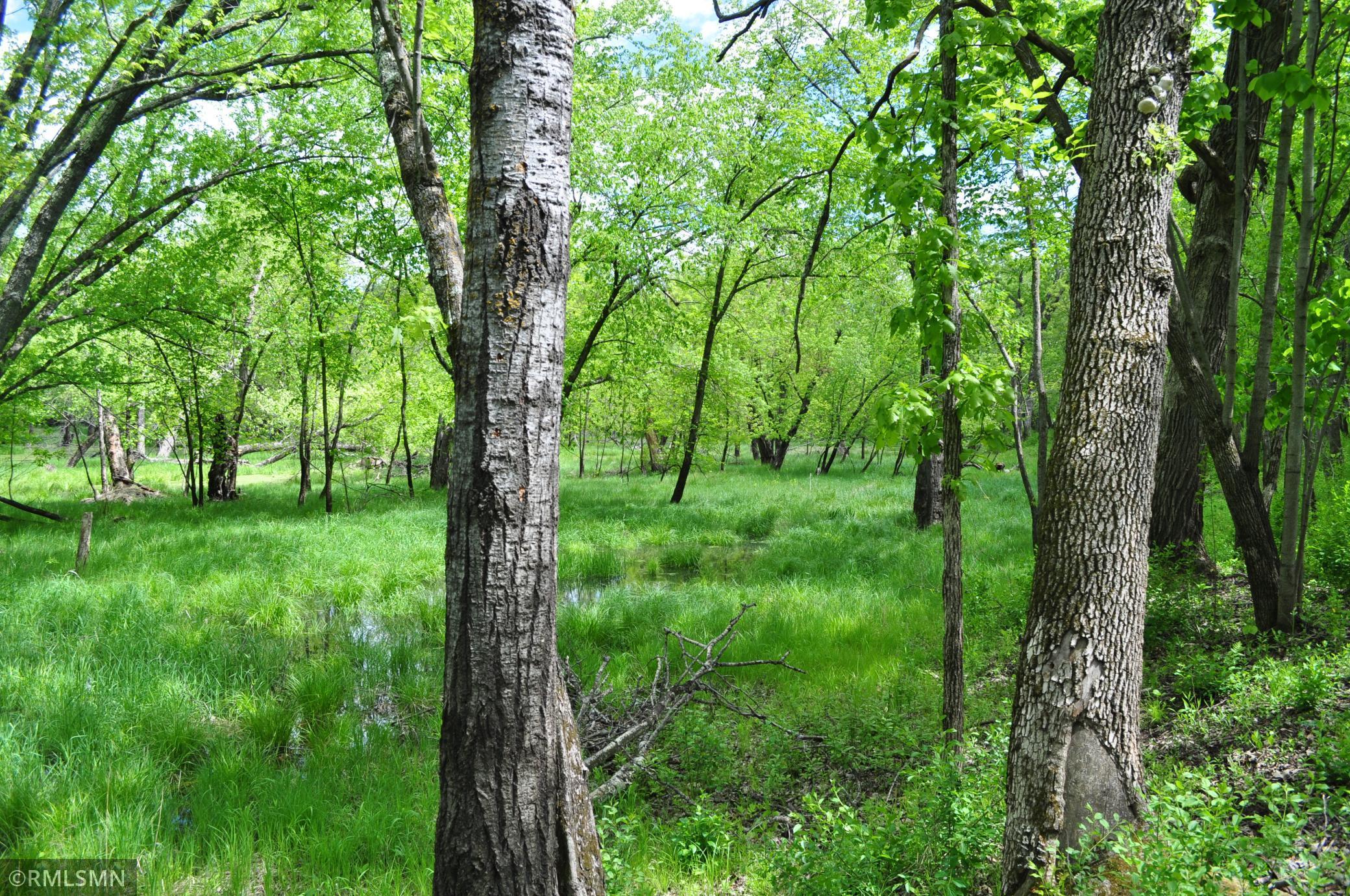 TBD Mahogany Street, Mora, Minnesota image 19