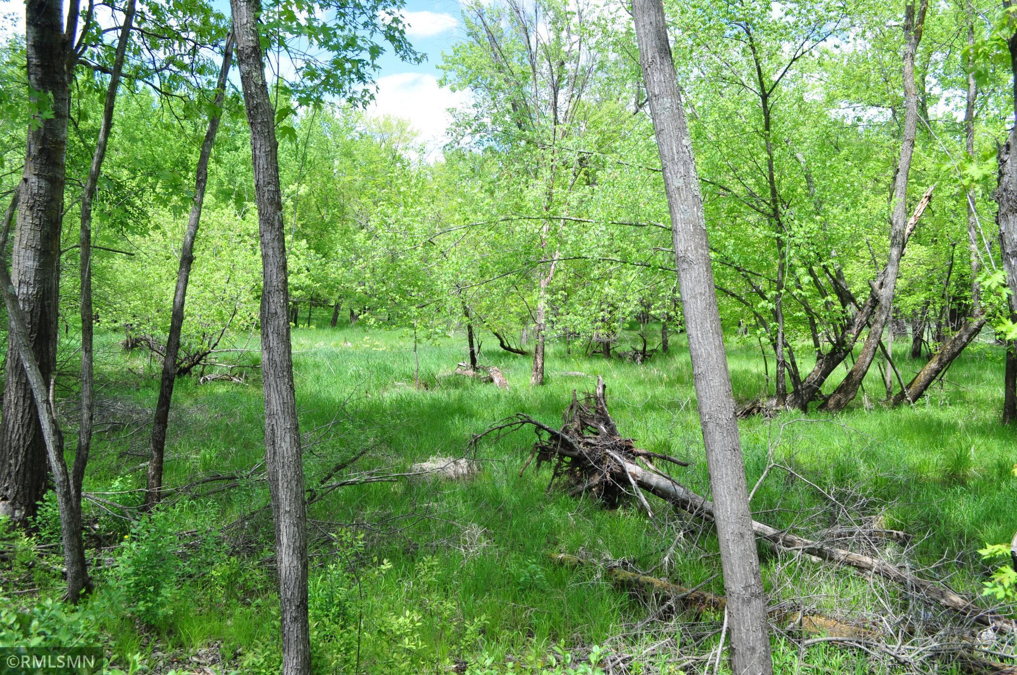 TBD Mahogany Street, Mora, Minnesota image 21