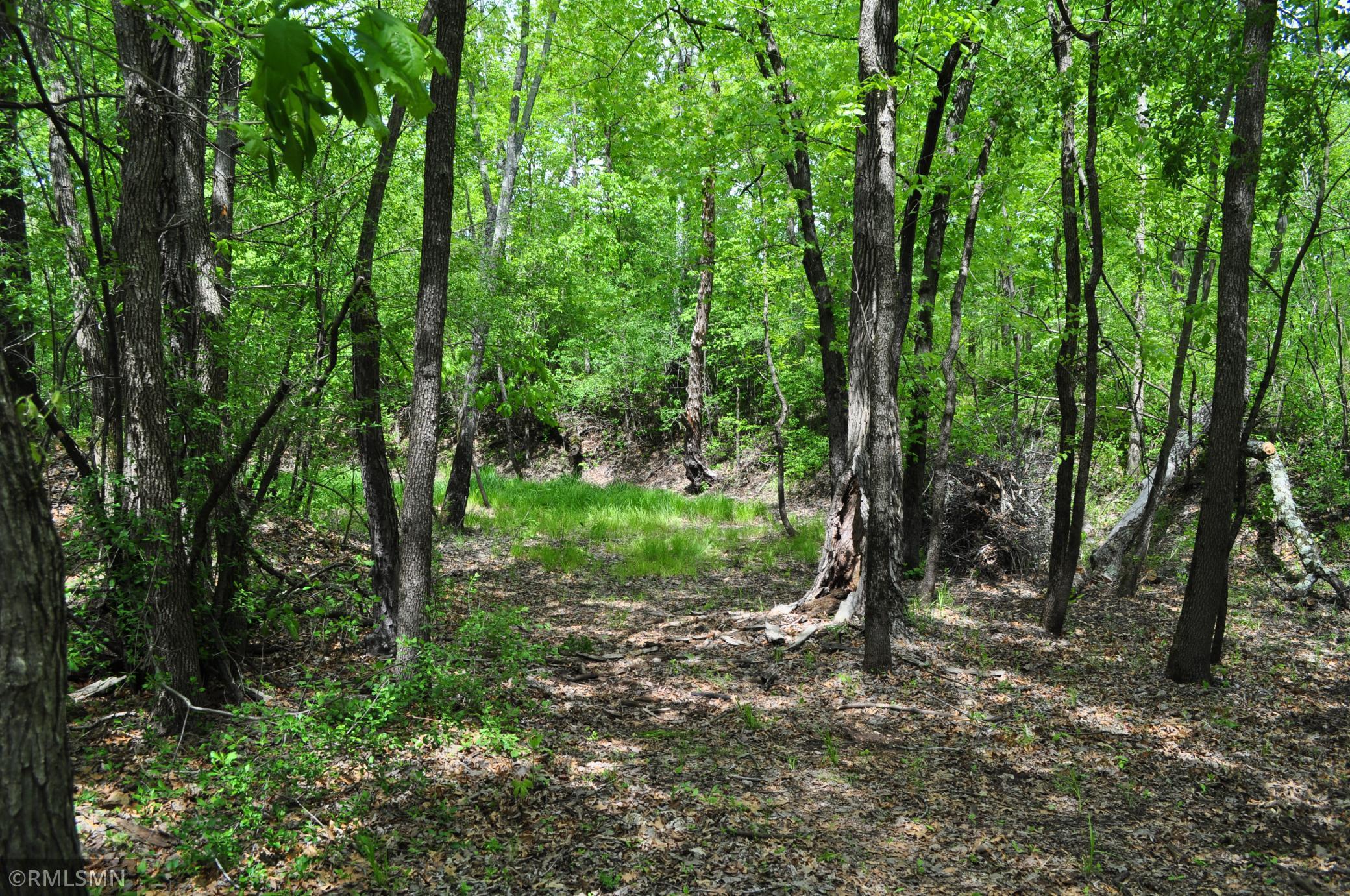 TBD Mahogany Street, Mora, Minnesota image 18