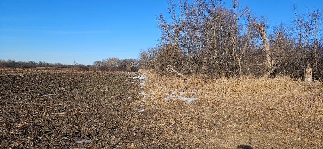 Parcel 2 Willow Road, Carlos, Minnesota image 3