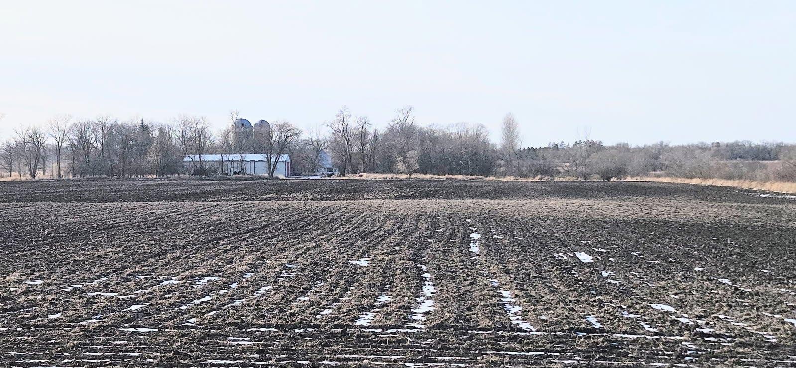 Parcel 2 Willow Road, Carlos, Minnesota image 14