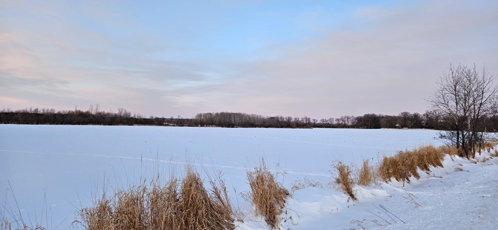 Parcel 2 Willow Road, Carlos, Minnesota image 7