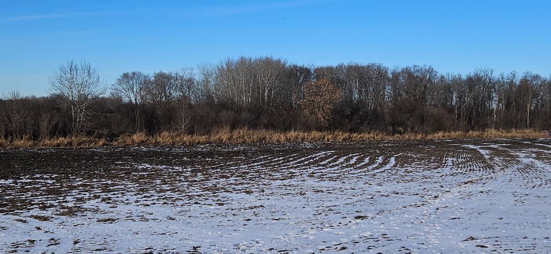 Parcel 2 Willow Road, Carlos, Minnesota image 8