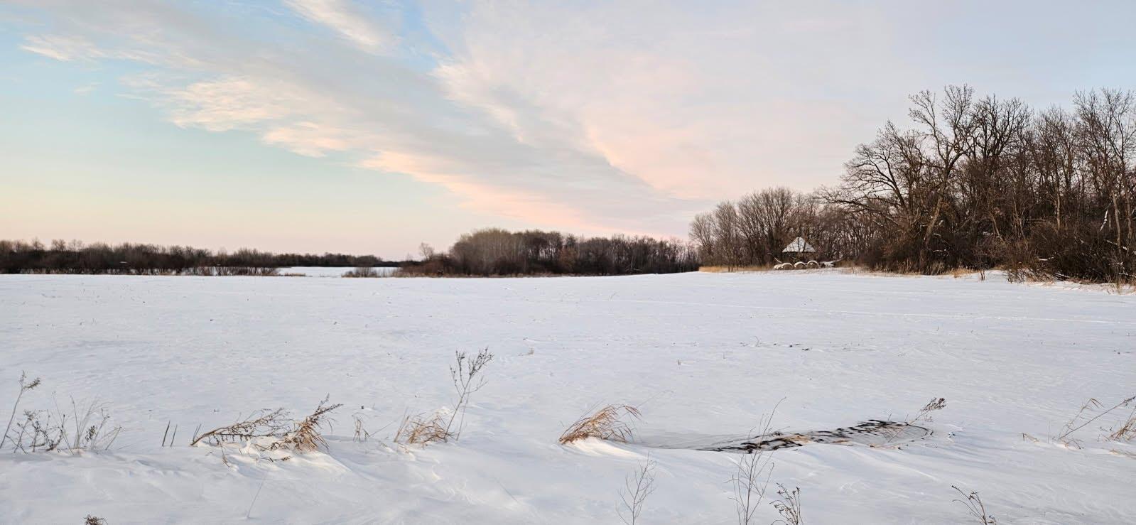 Parcel 2 Willow Road, Carlos, Minnesota image 4