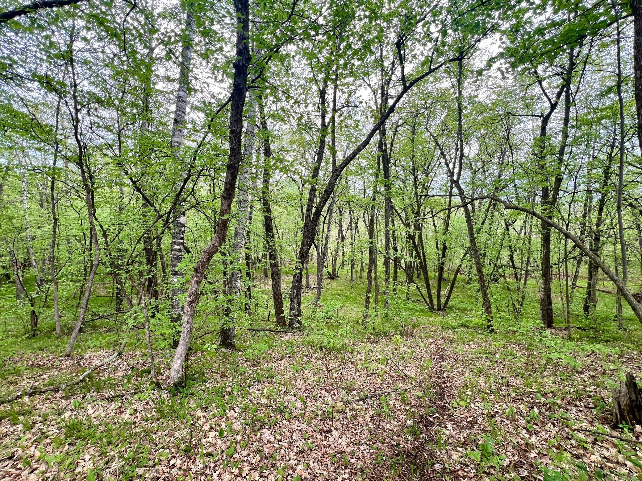 23847 Arcade Loop, Menahga, Minnesota image 14