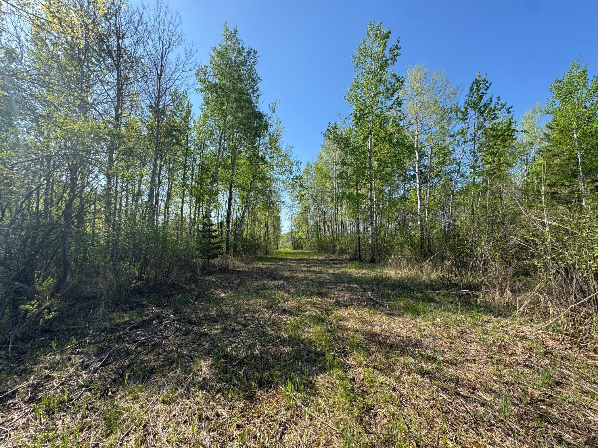 TBD Skog Road, Kettle River, Minnesota image 9