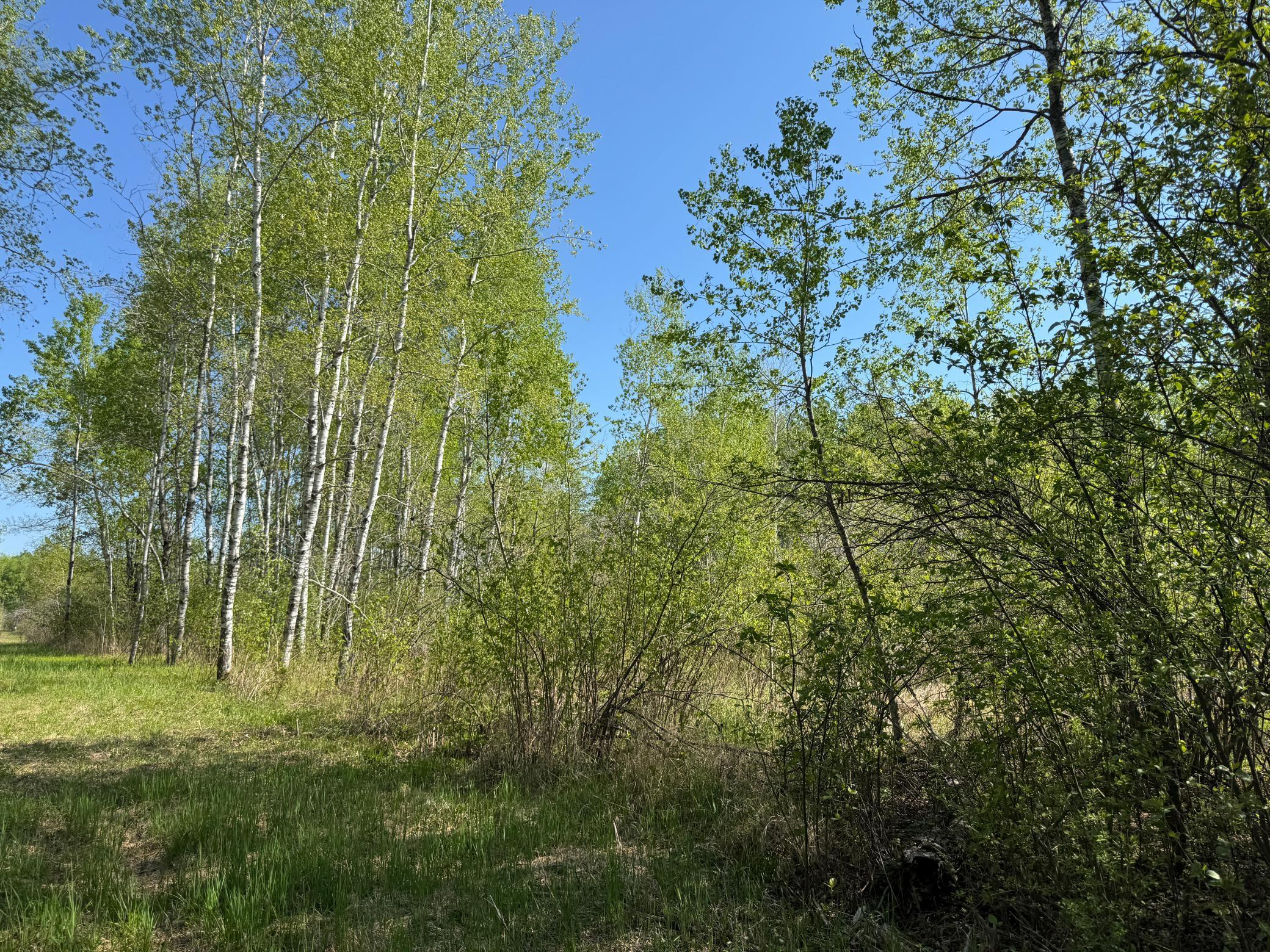 TBD Skog Road, Kettle River, Minnesota image 8