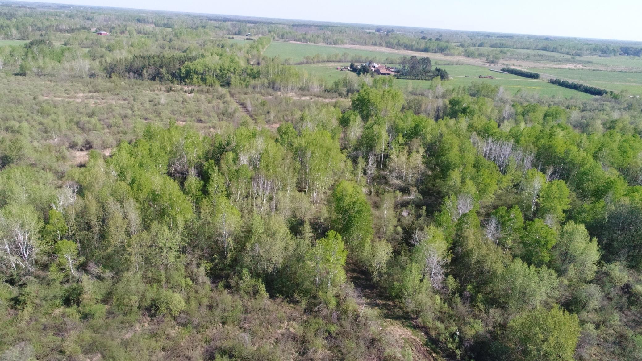 TBD Skog Road, Kettle River, Minnesota image 13