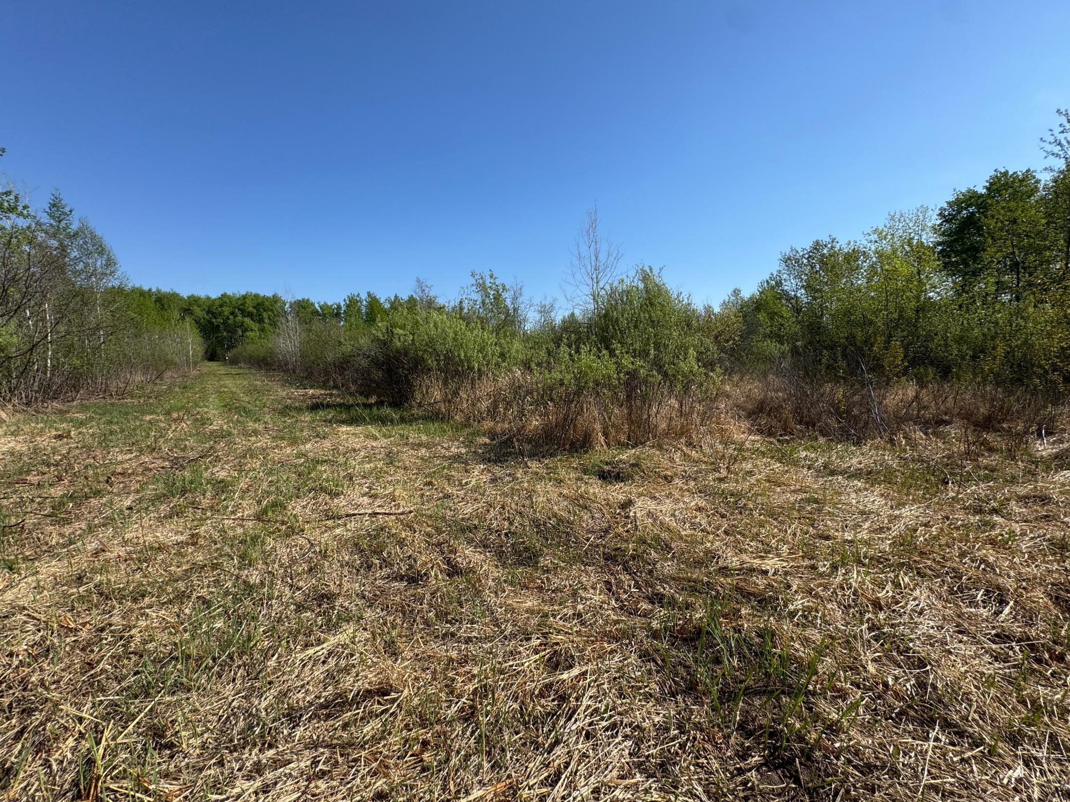 TBD Skog Road, Kettle River, Minnesota image 11